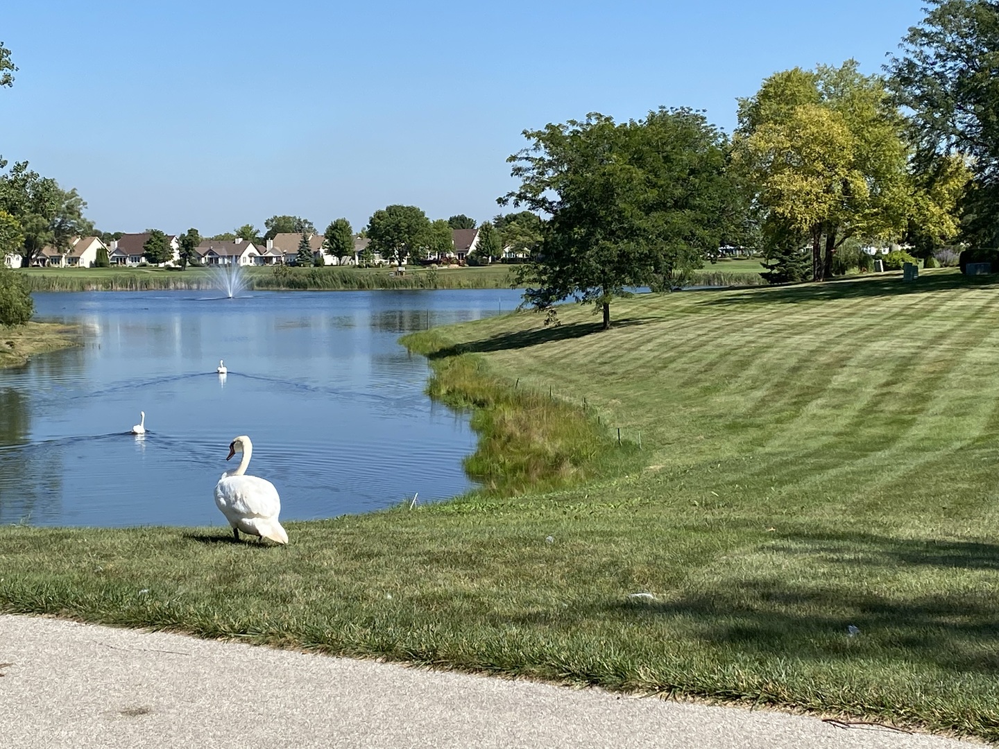 21365 Silktree Circle