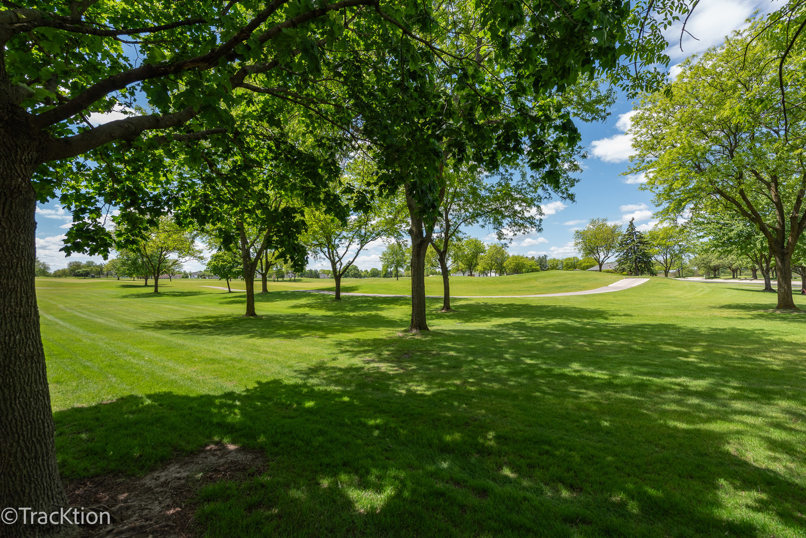 21365 Silktree Circle