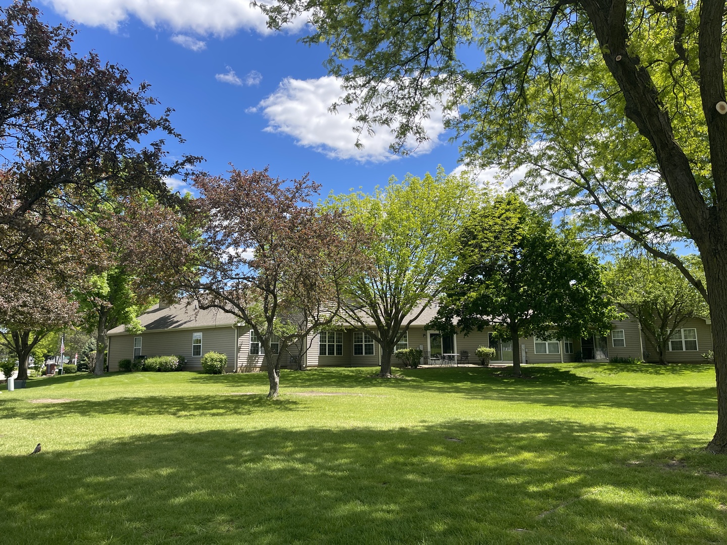 21365 Silktree Circle