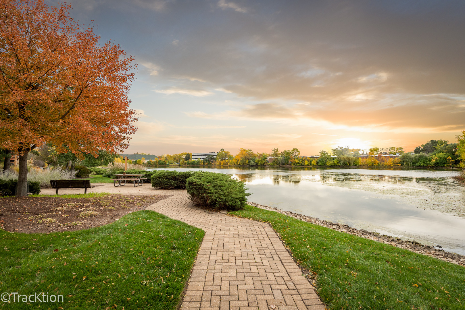 6147 Knoll Wood Court Unit: 204