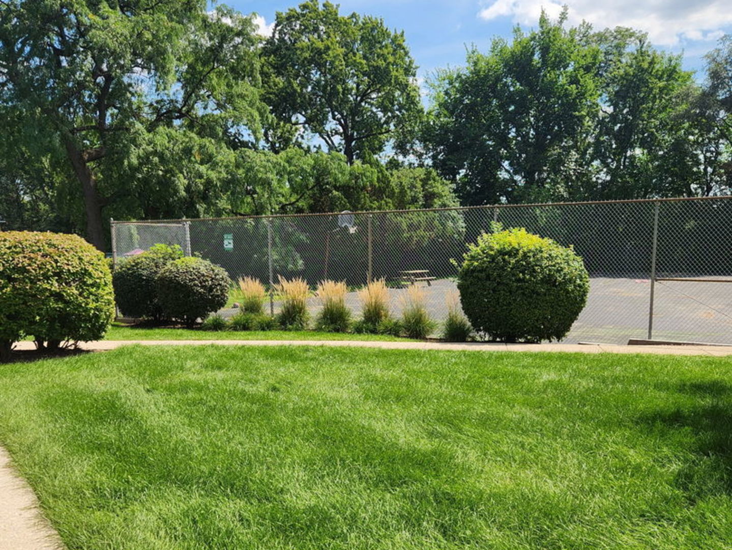 2415 Ogden Avenue Unit: 5