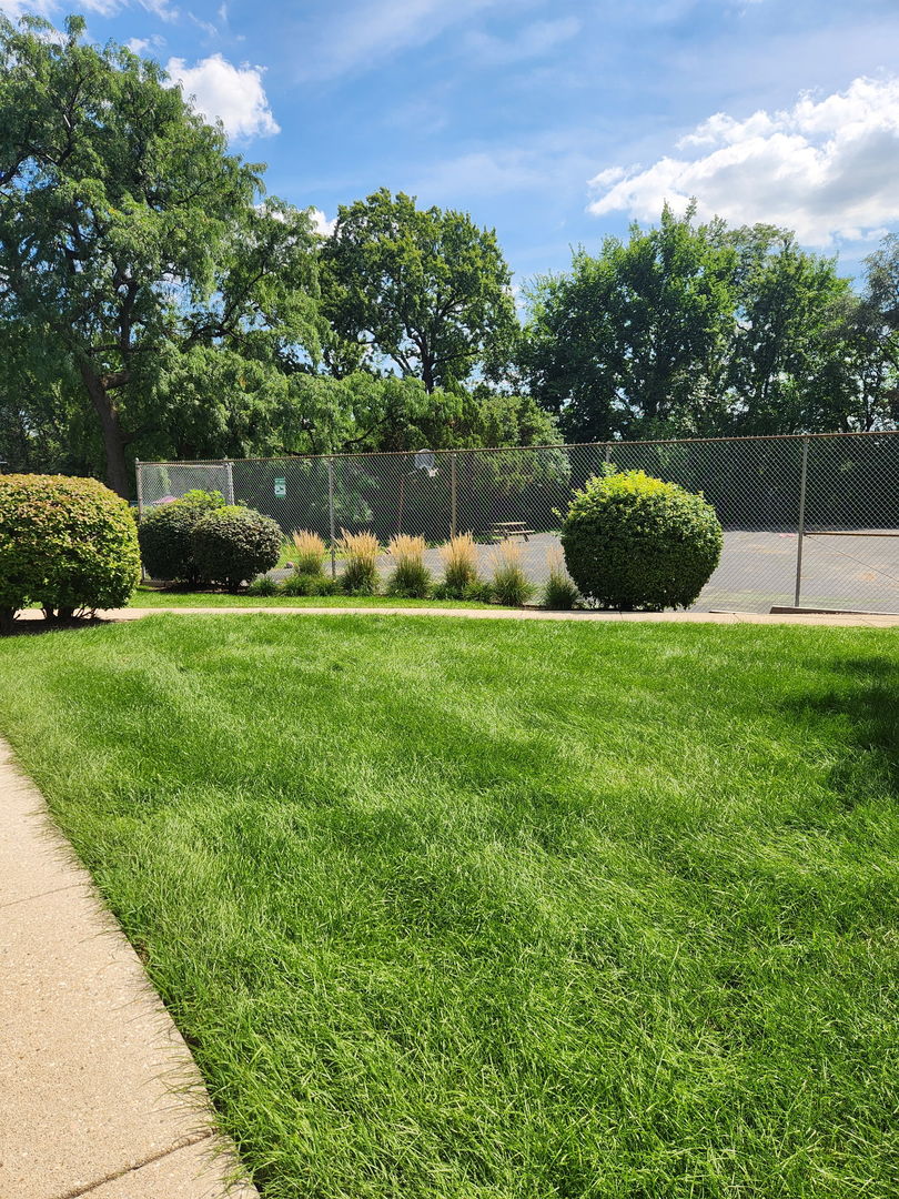 2415 Ogden Avenue Unit: 5