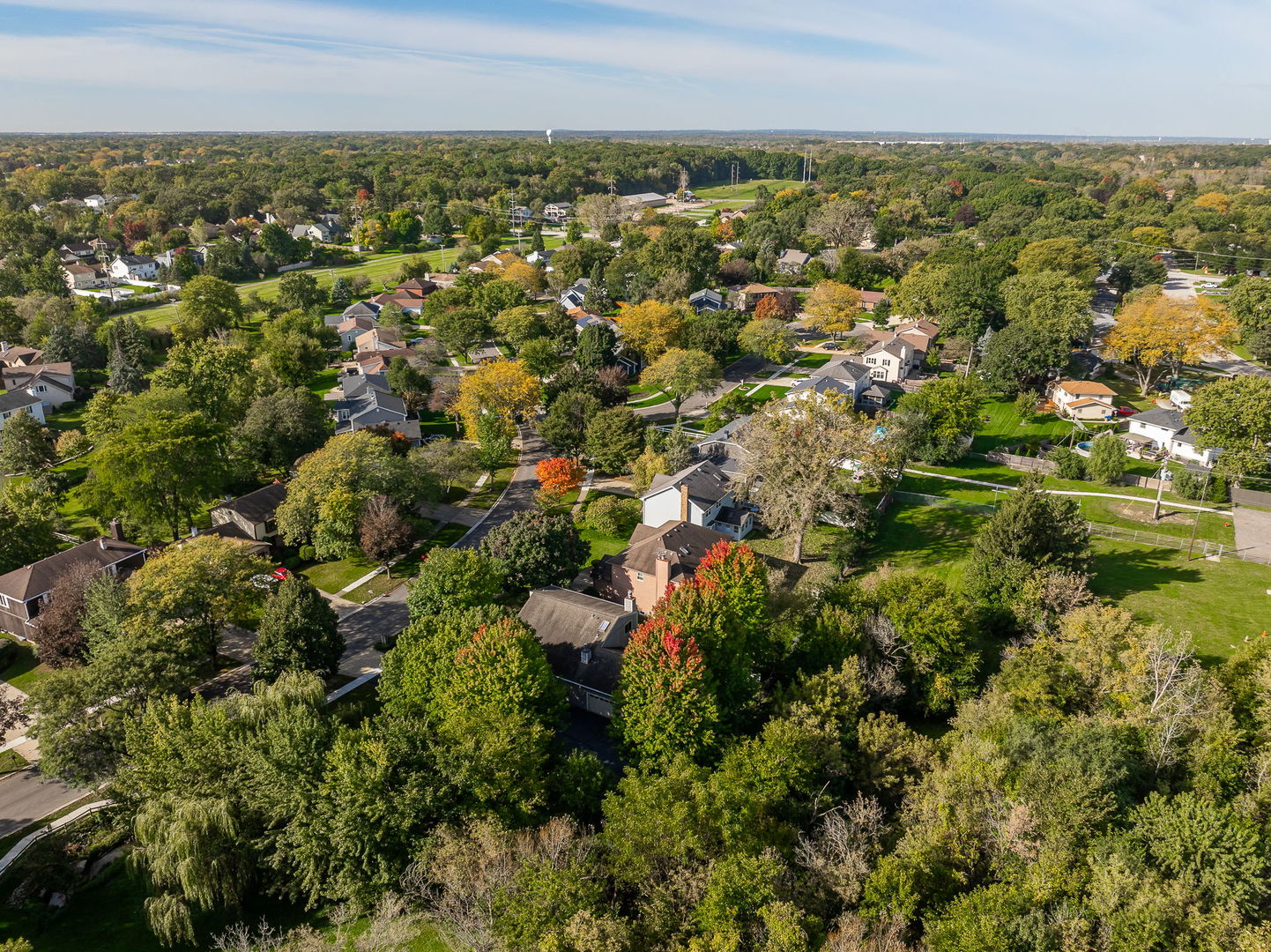 161 Amherst Drive