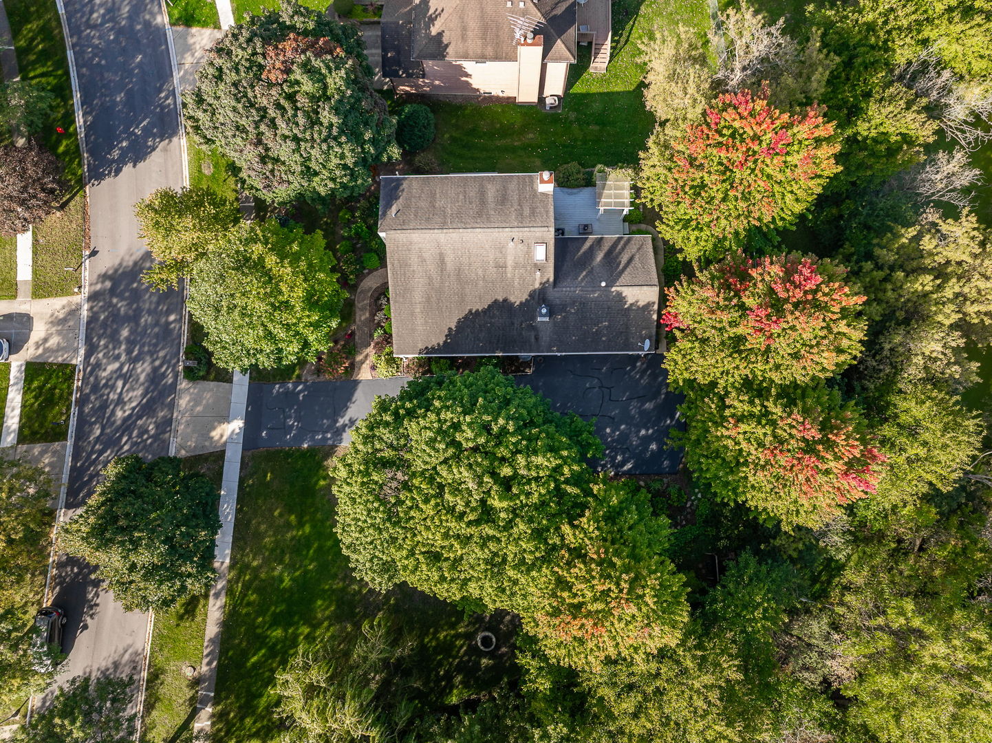 161 Amherst Drive