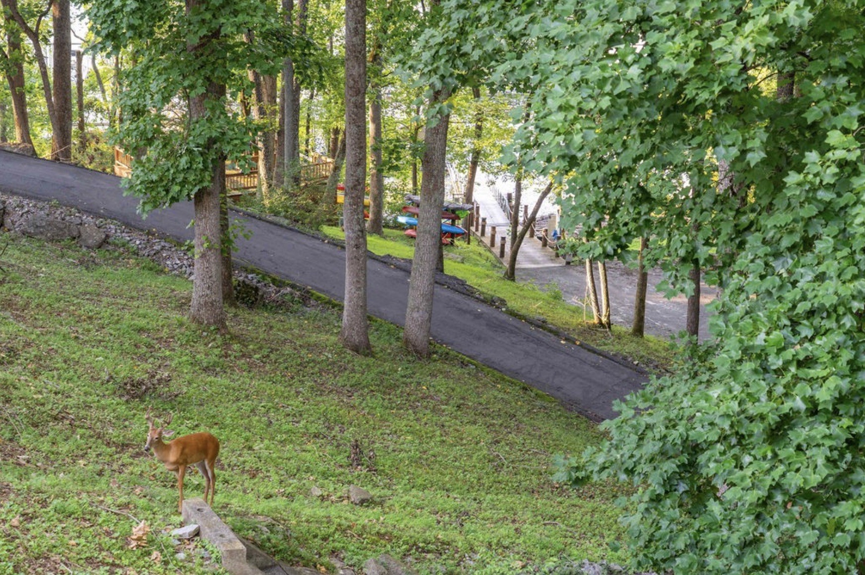 231 Green Harbor Rd Unit: 77