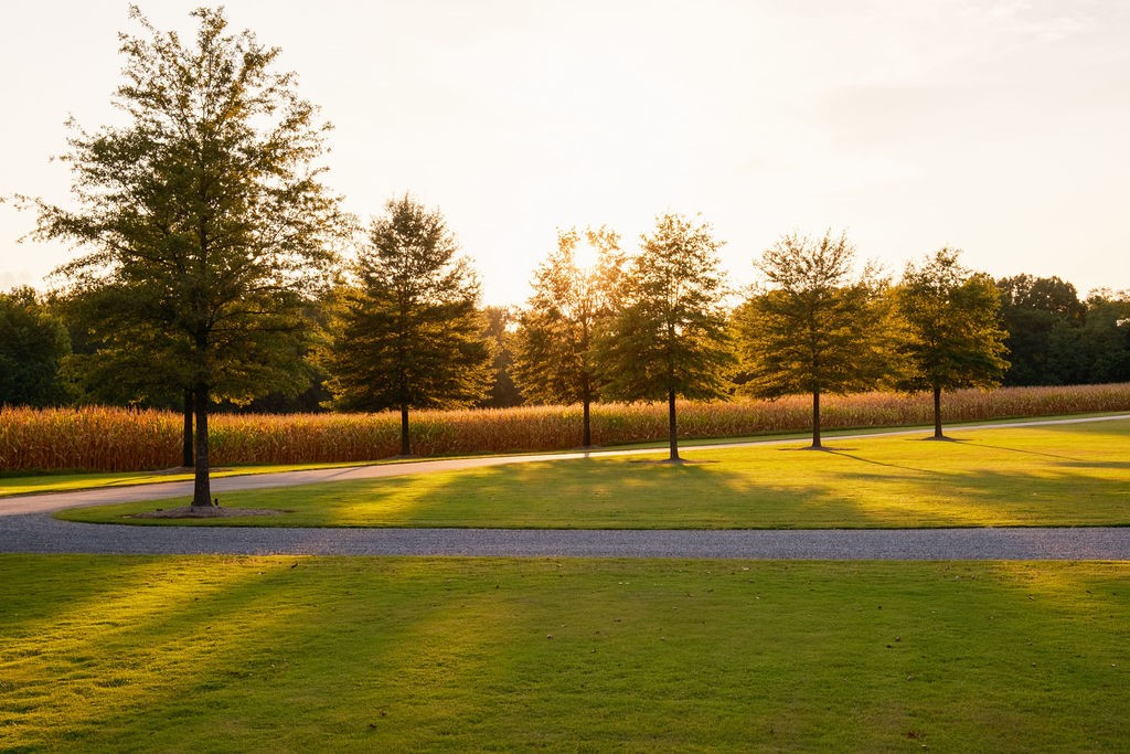 1771 Dancyville Eurekaton Rd