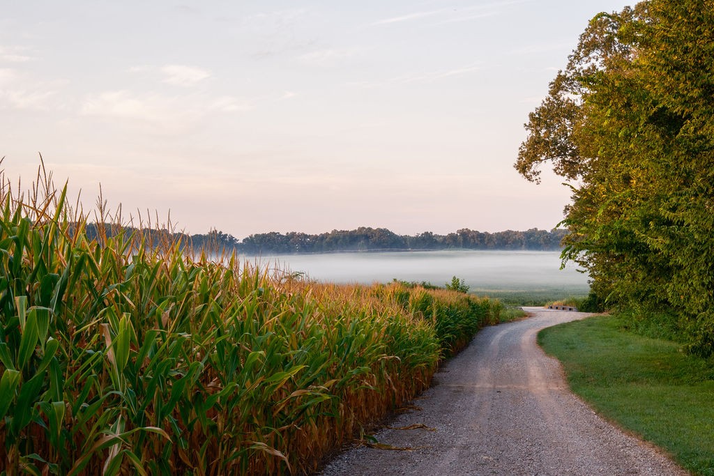 1771 Dancyville Eurekaton Rd