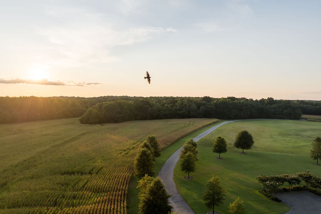 1771 Dancyville Eurekaton Rd