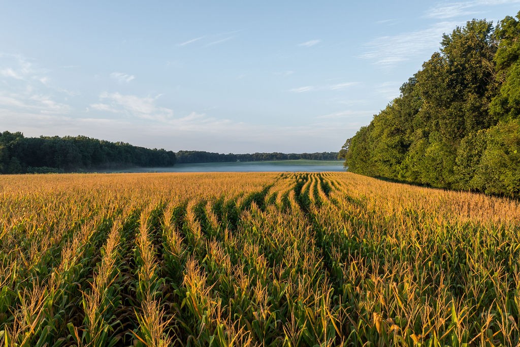 1771 Dancyville Eurekaton Rd