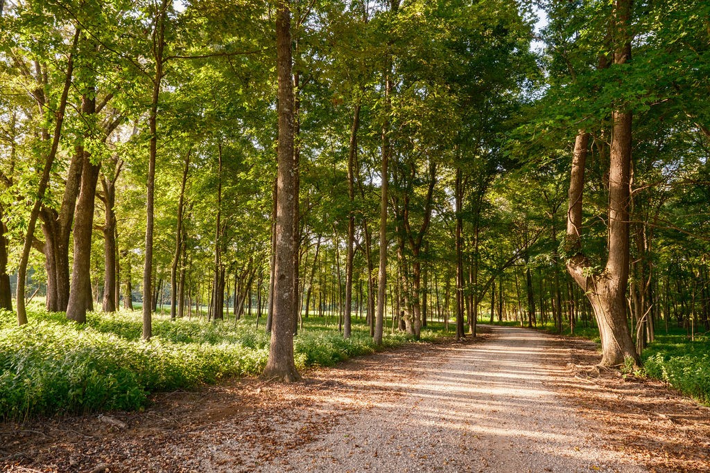 1771 Dancyville Eurekaton Rd