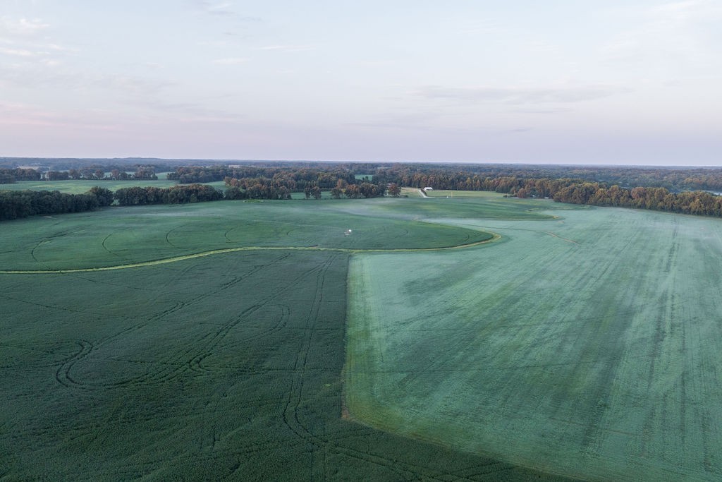 1771 Dancyville Eurekaton Rd