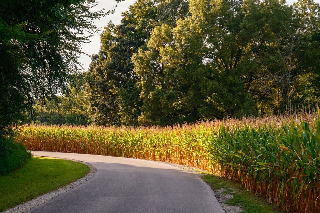 1771 Dancyville Eurekaton Rd