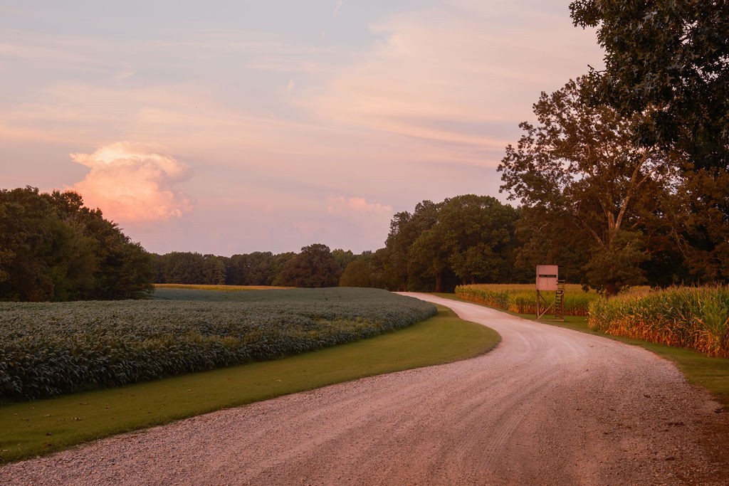 1771 Dancyville Eurekaton Rd