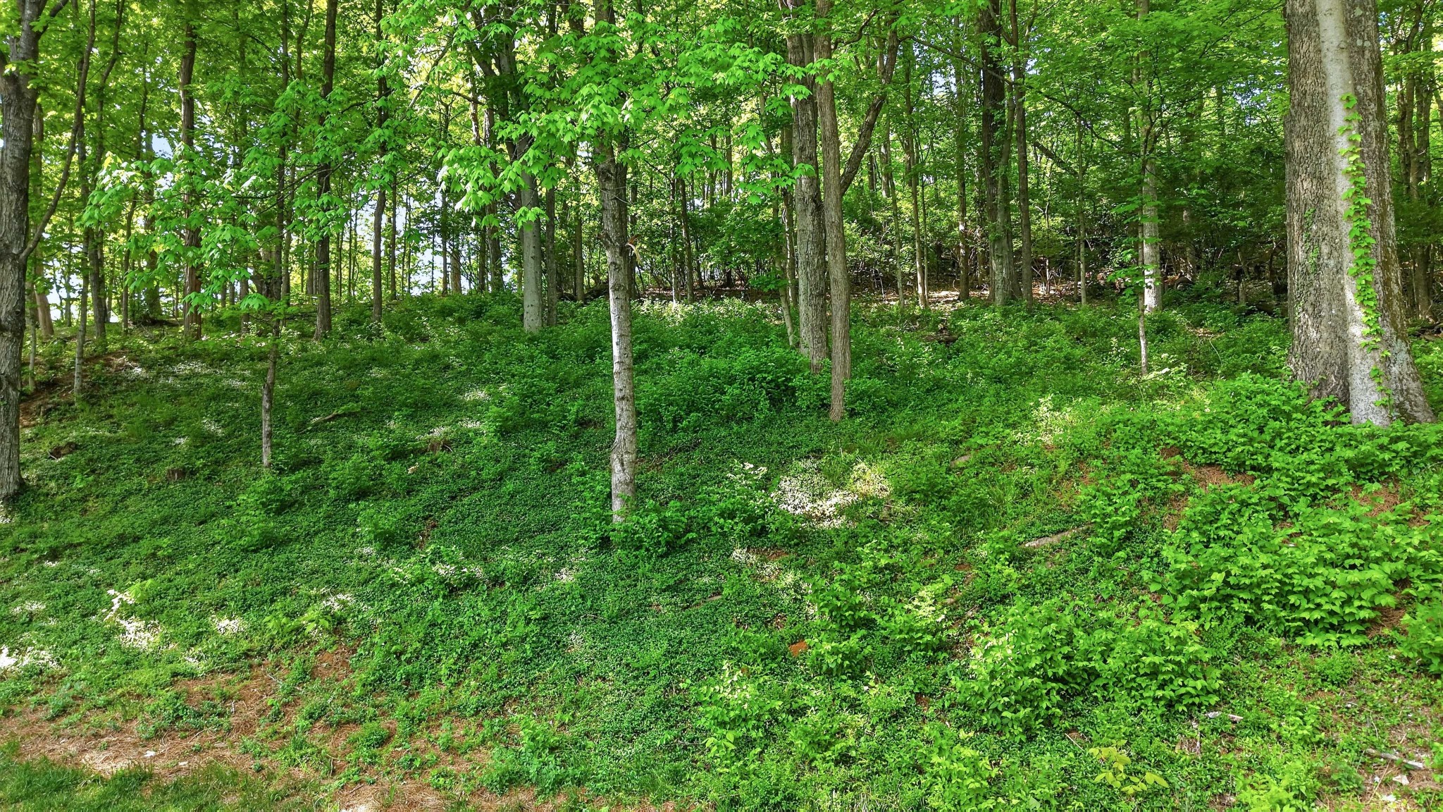 2148 Timberwood Dr
