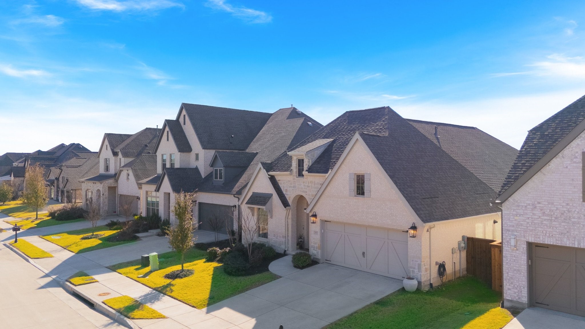 3053 Pedigree Court