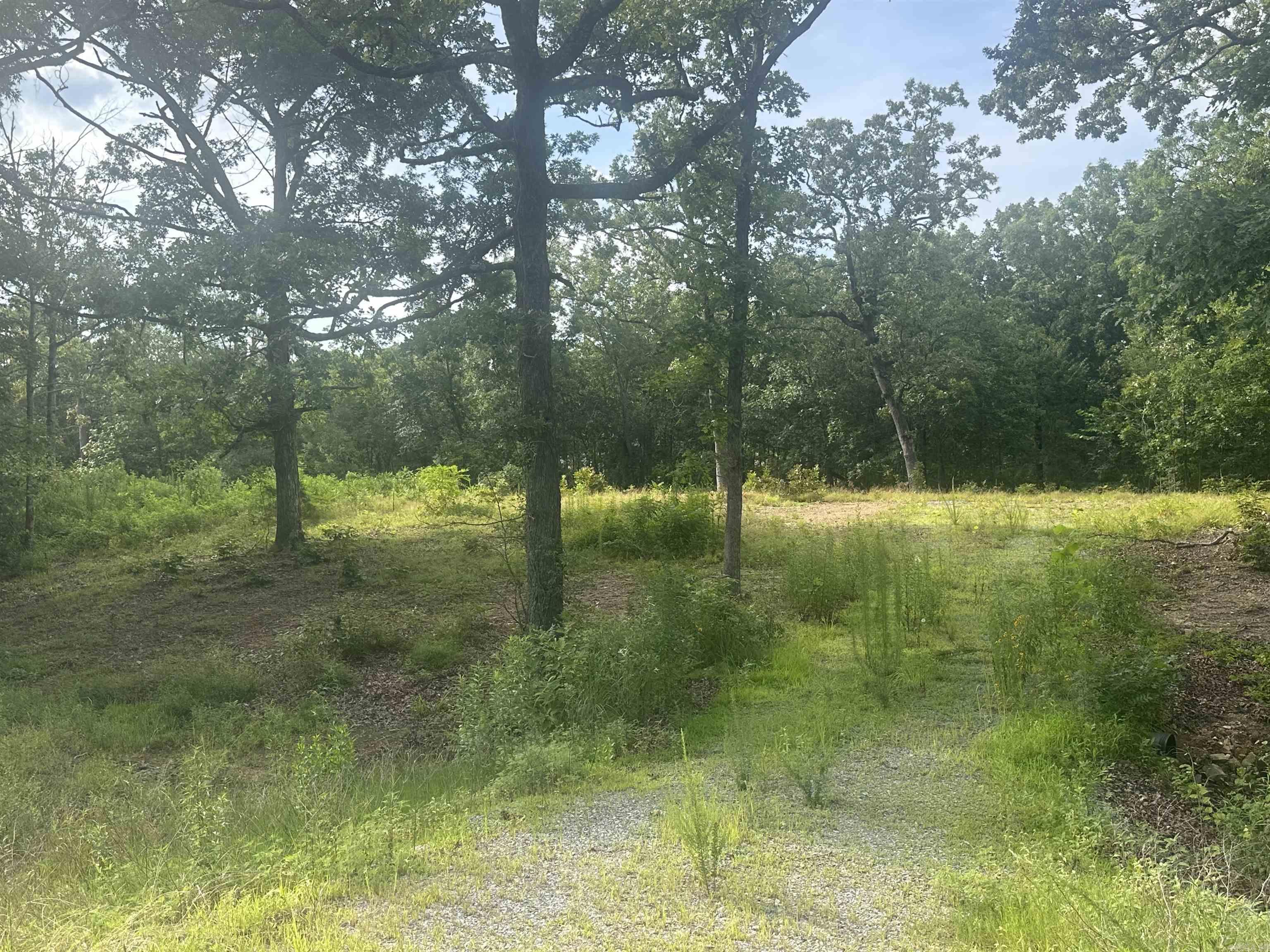 Lot 99 Vernon Court