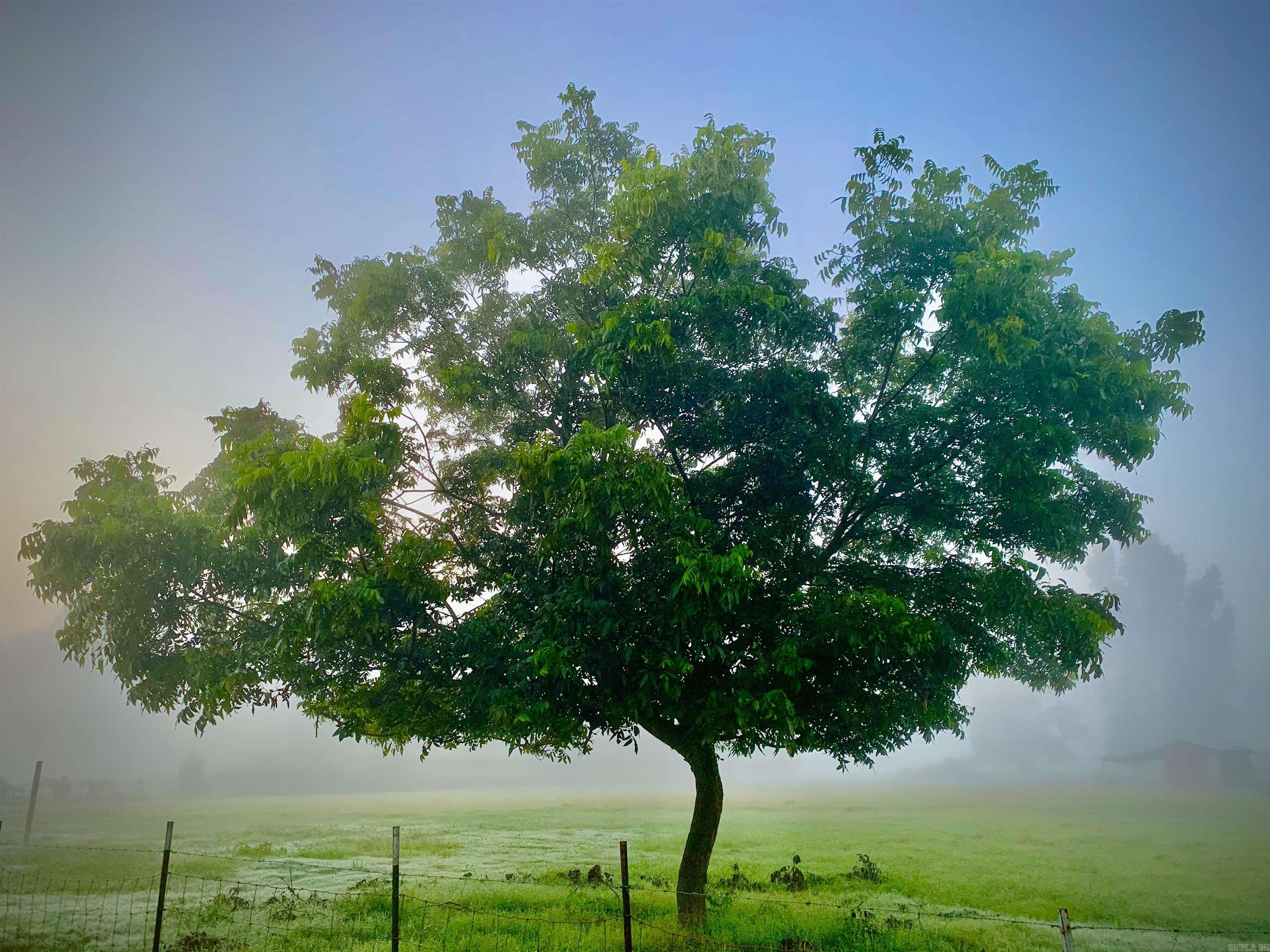 215 Williamson Boulevard