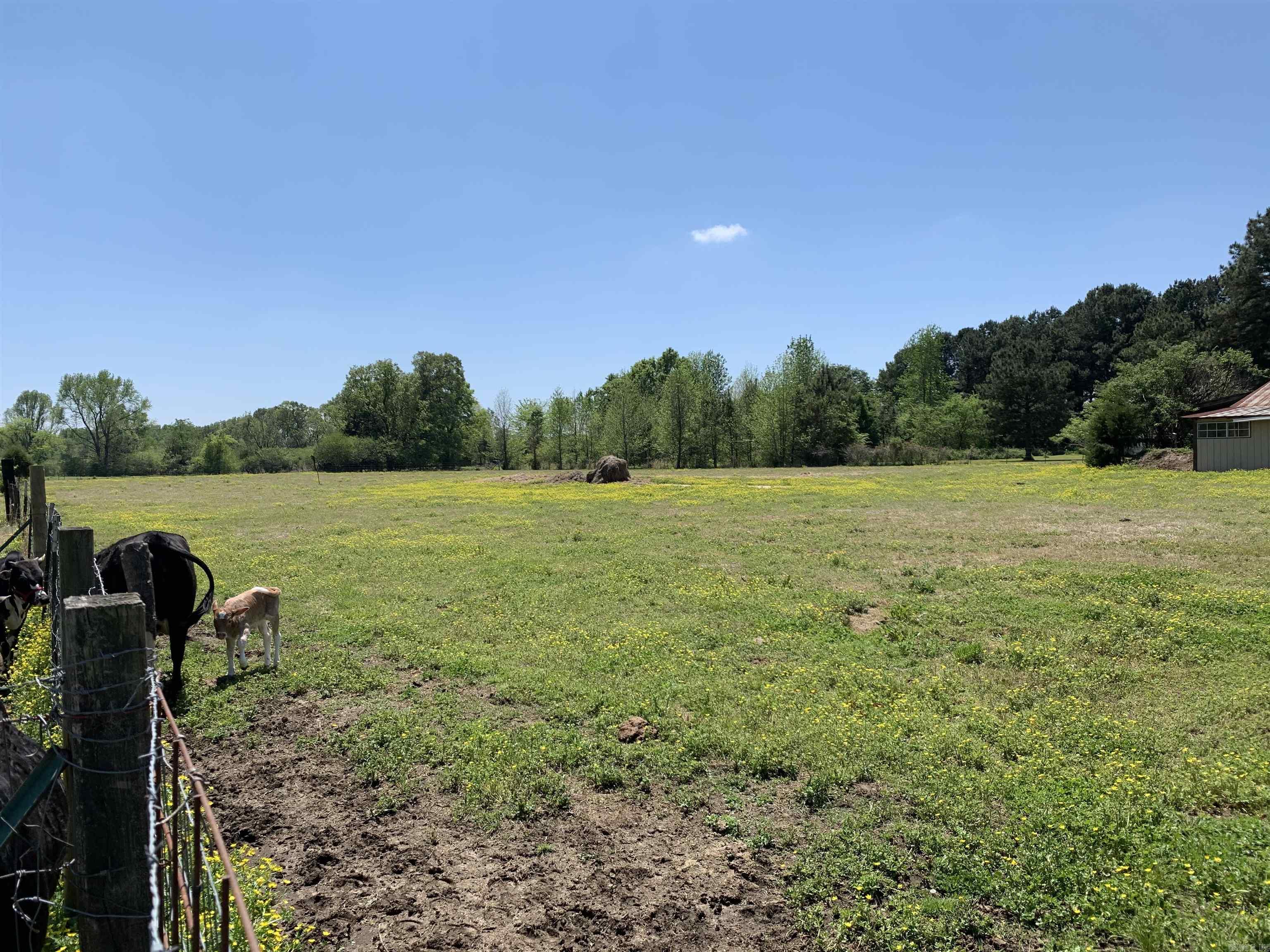 215 Williamson Boulevard