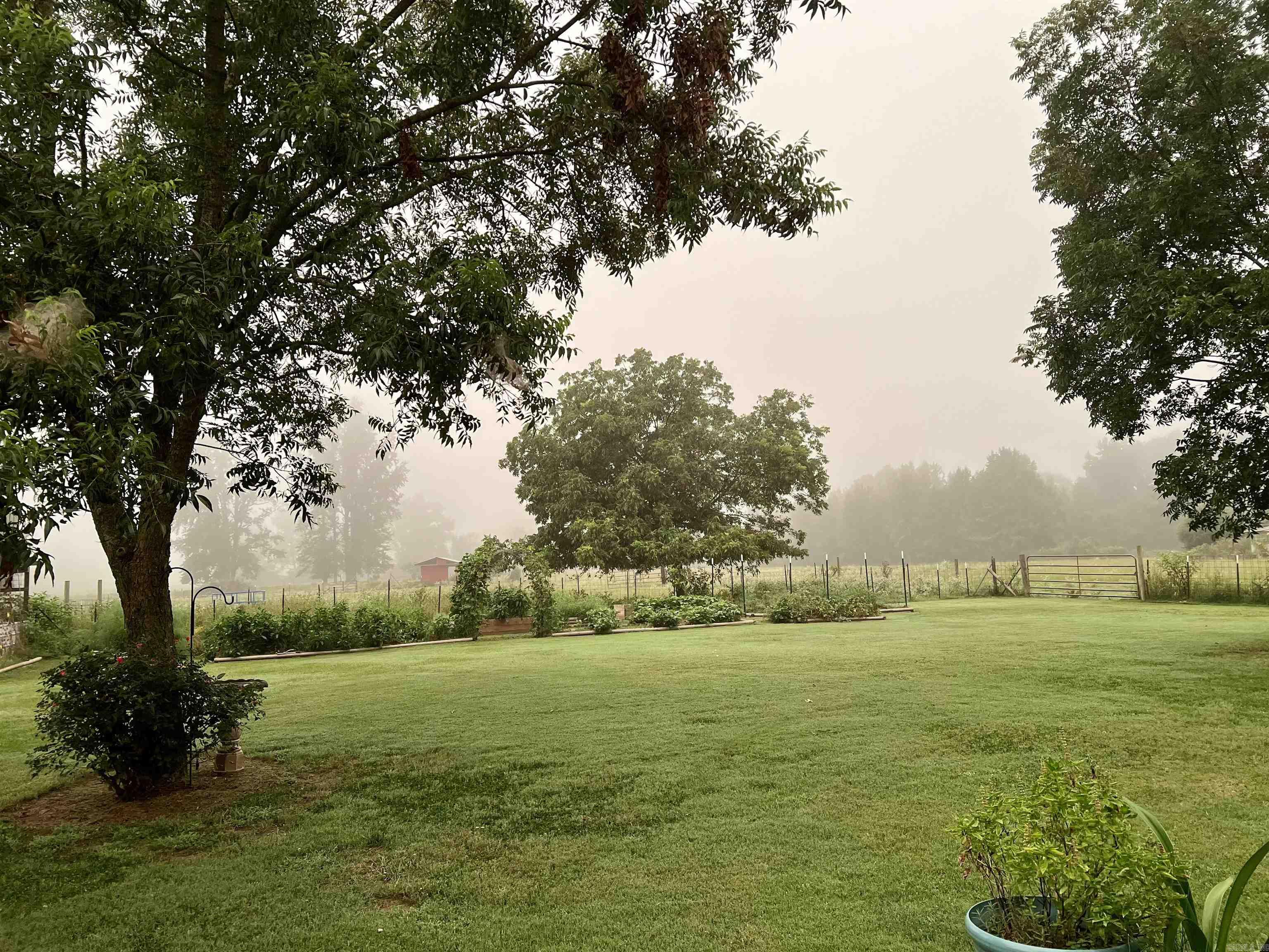 215 Williamson Boulevard