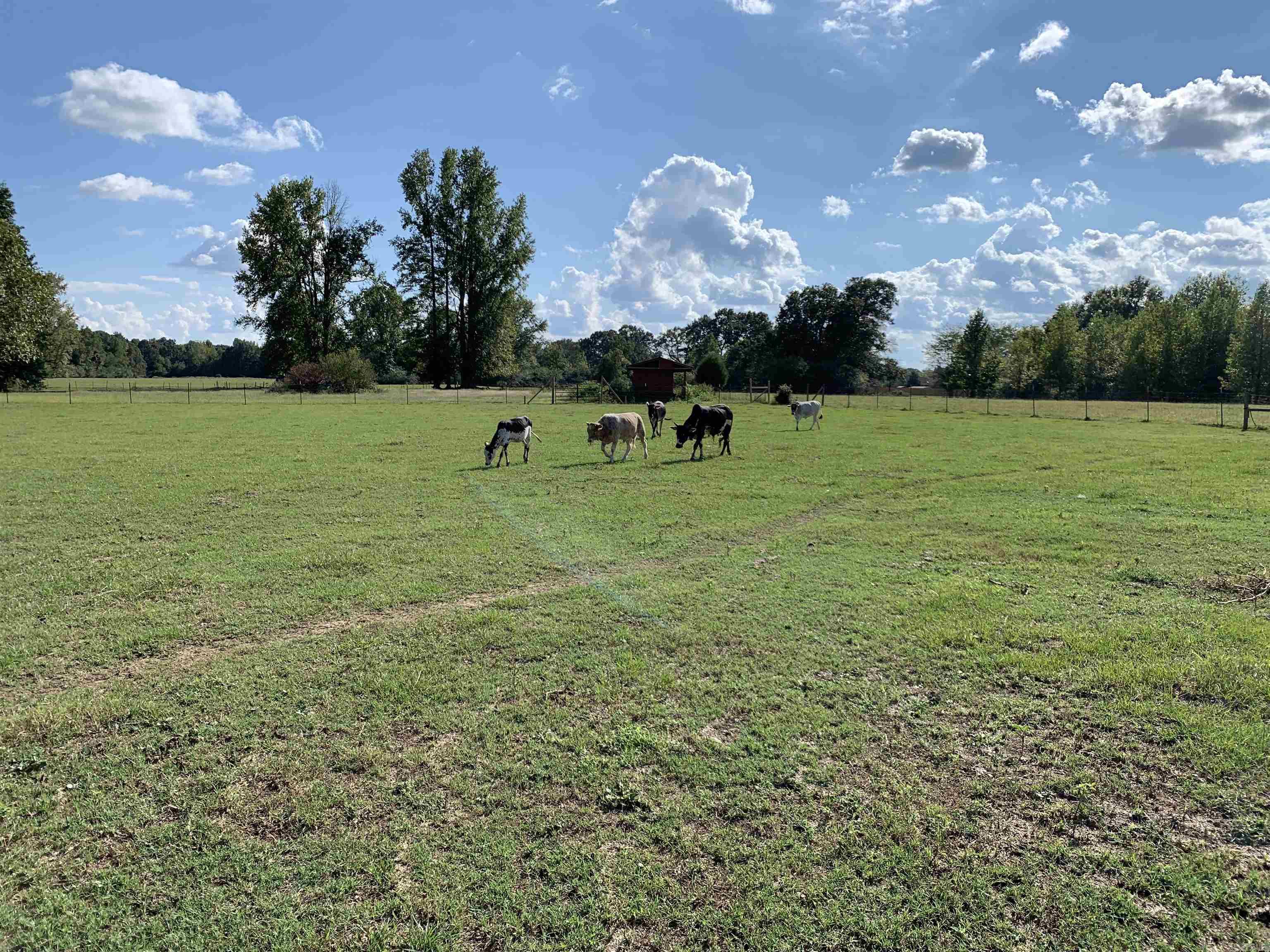 215 Williamson Boulevard