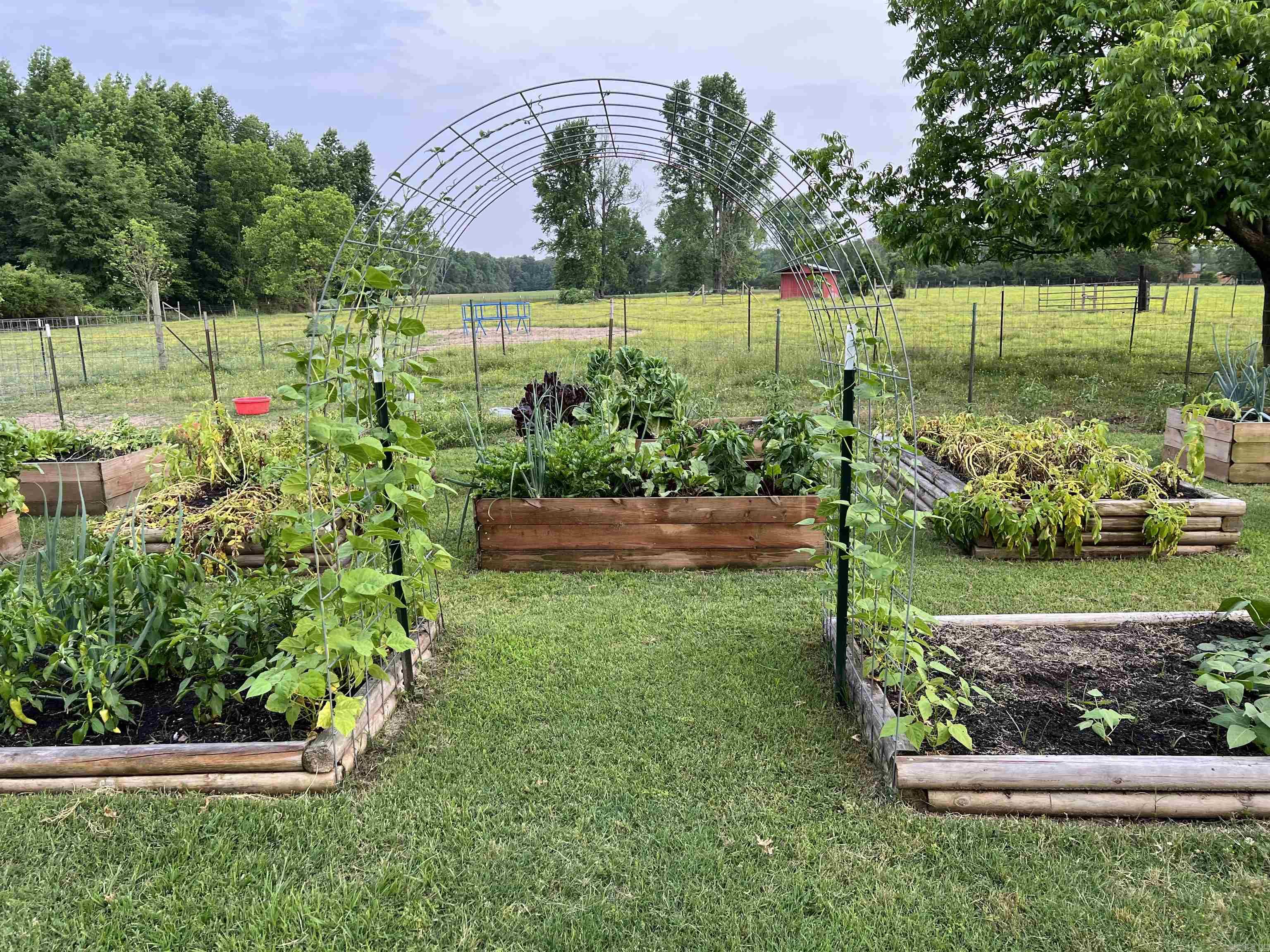 215 Williamson Boulevard