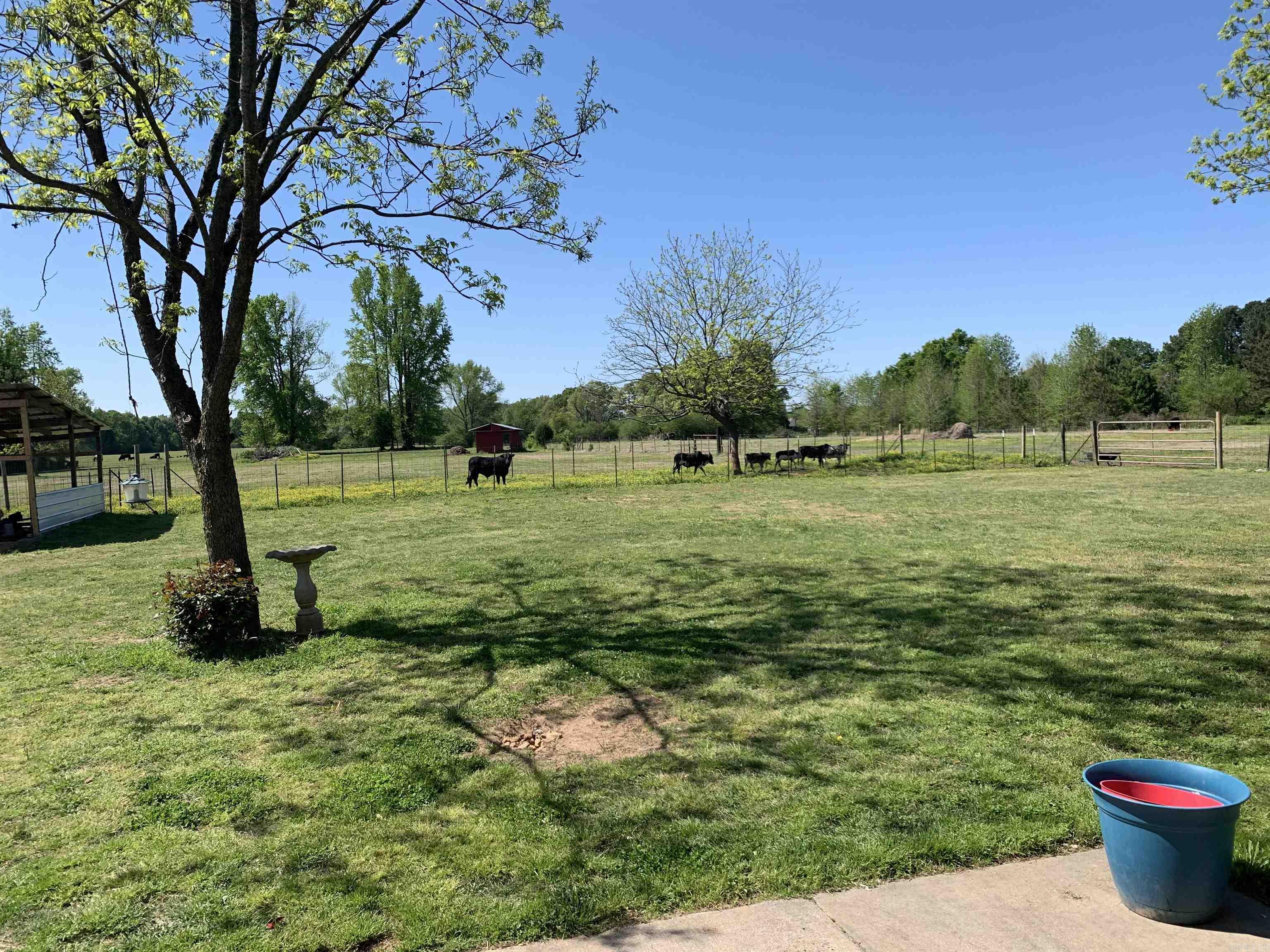 215 Williamson Boulevard