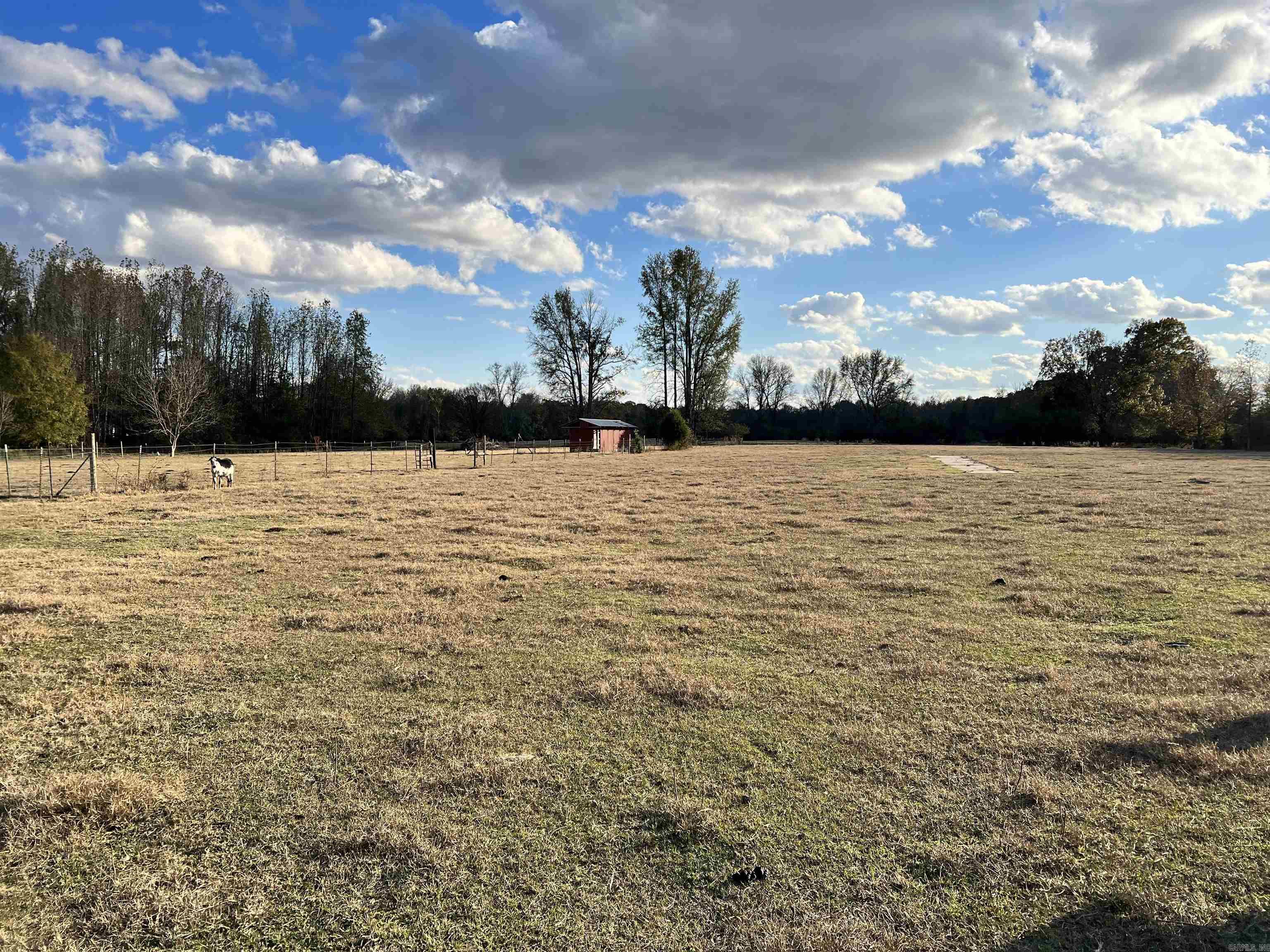 215 Williamson Boulevard