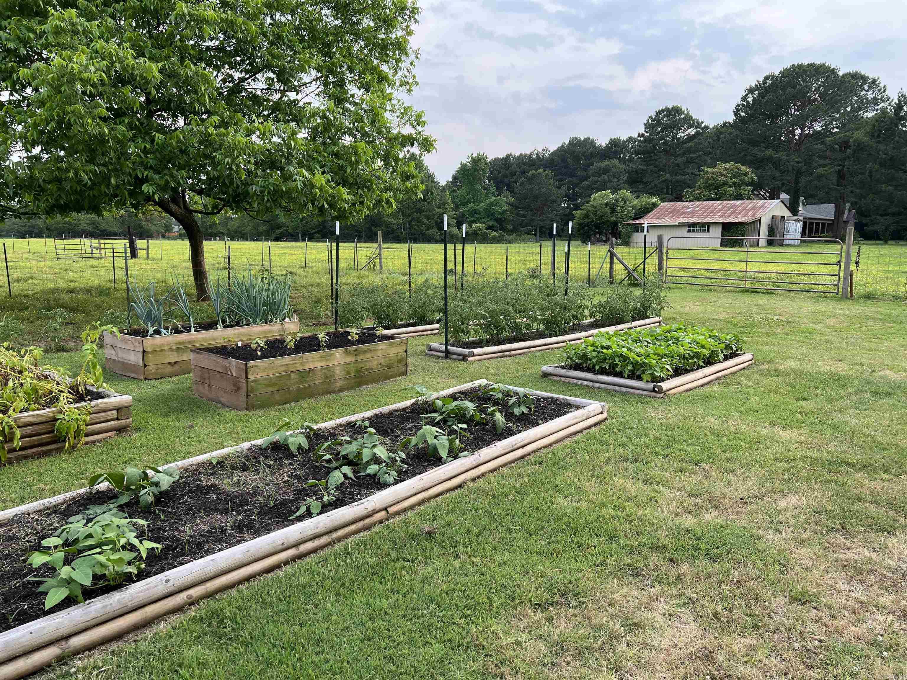 215 Williamson Boulevard