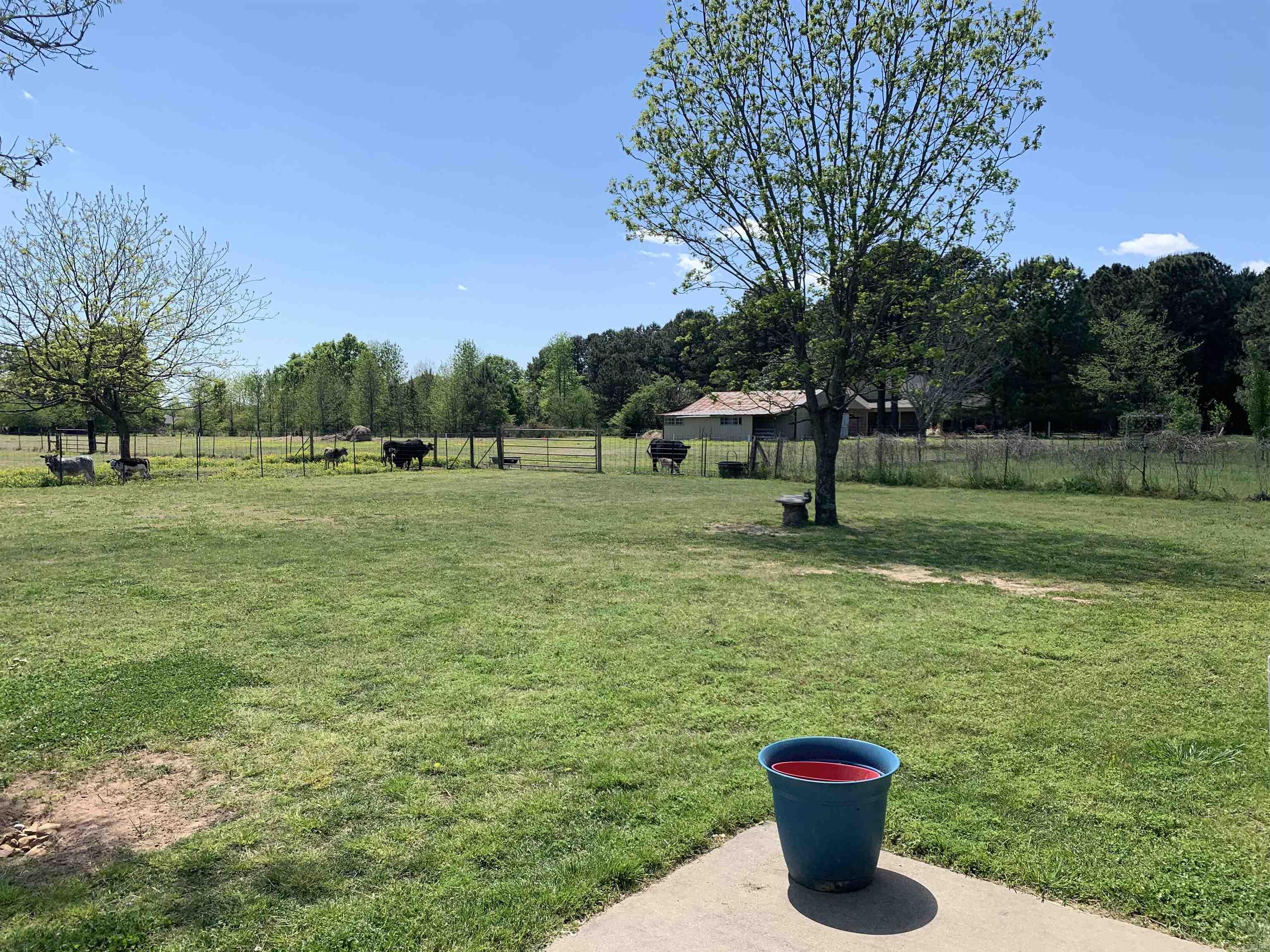 215 Williamson Boulevard