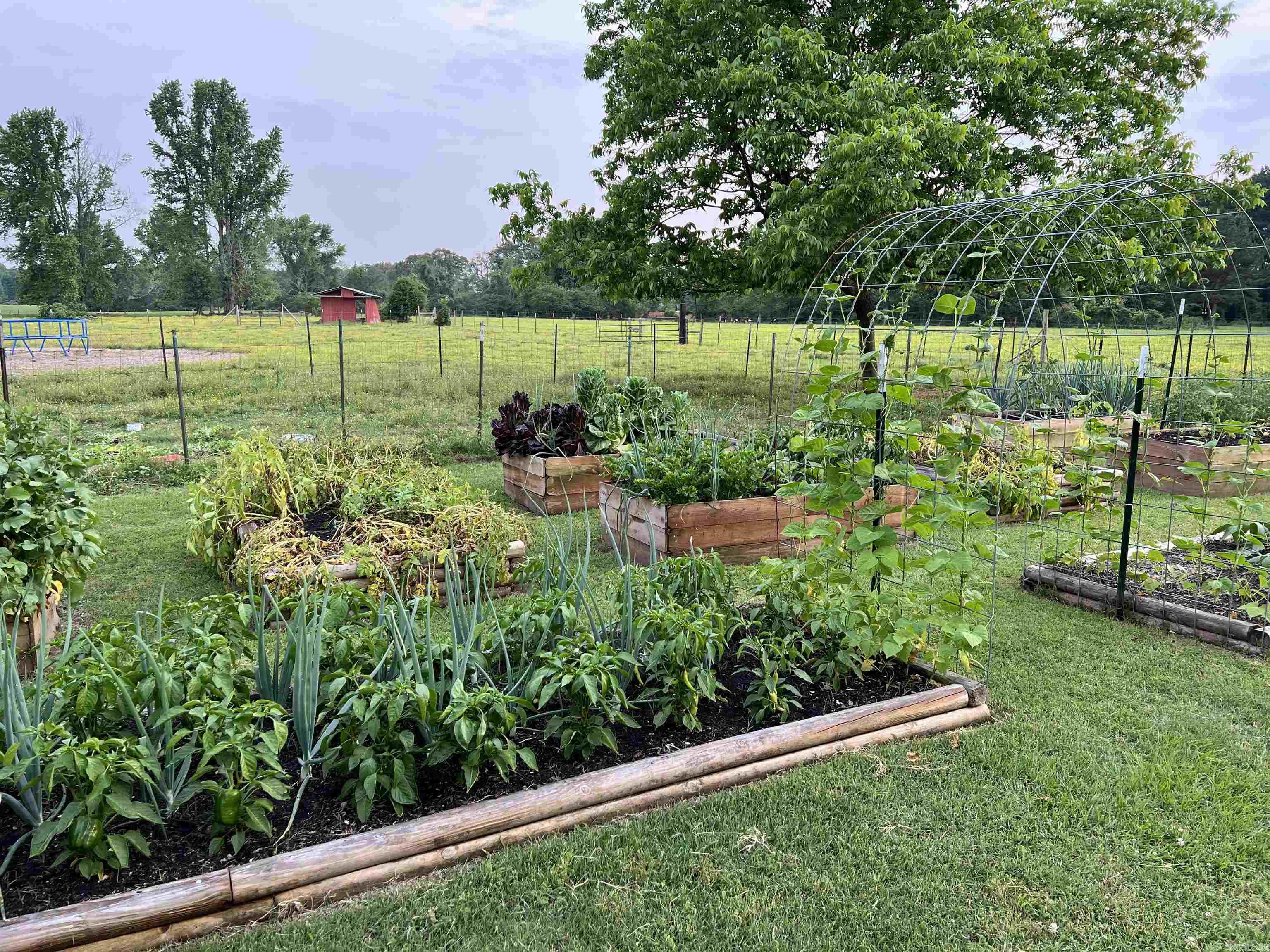 215 Williamson Boulevard