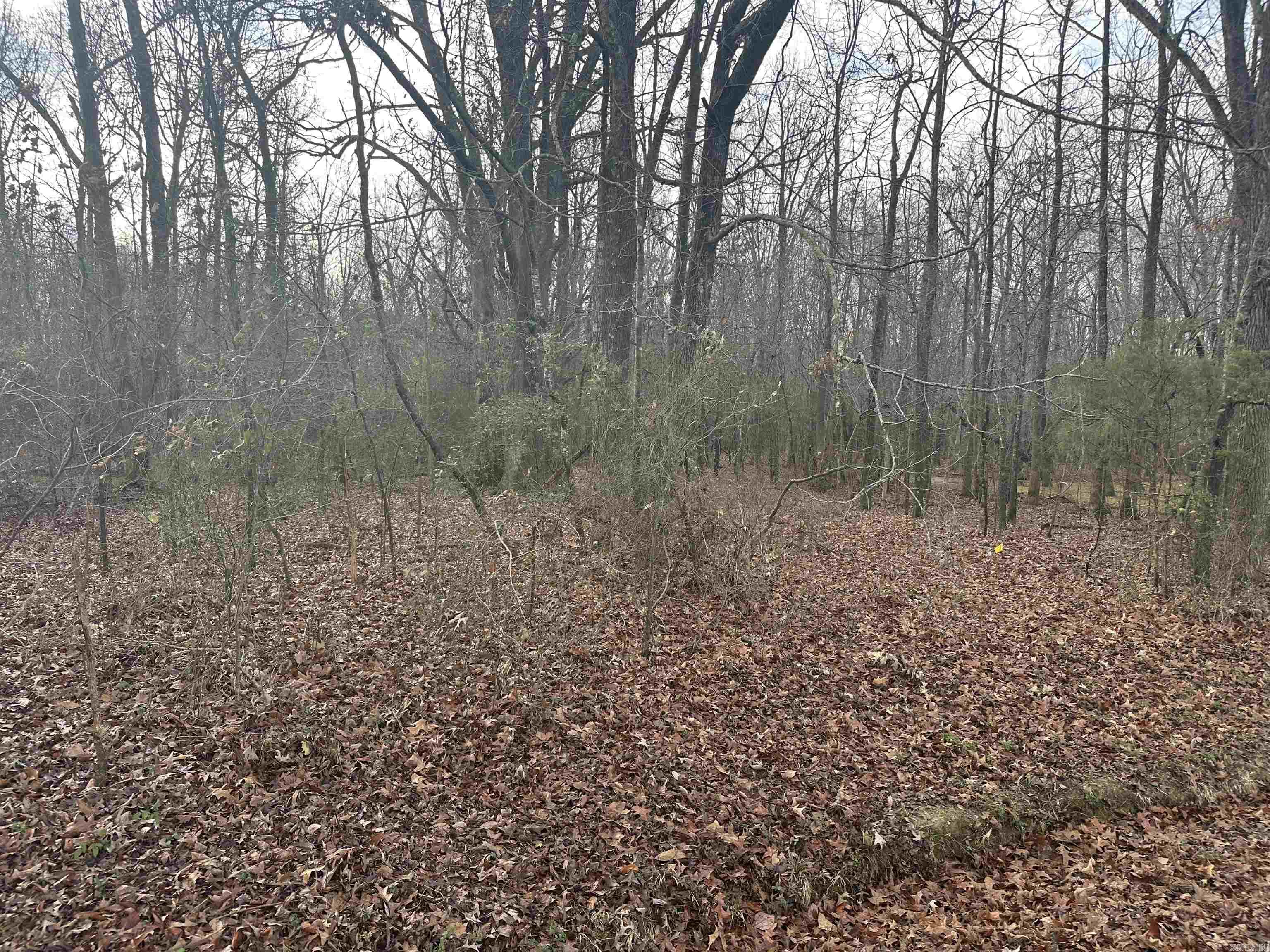 Lots 44 &45 Broadmoor Circle