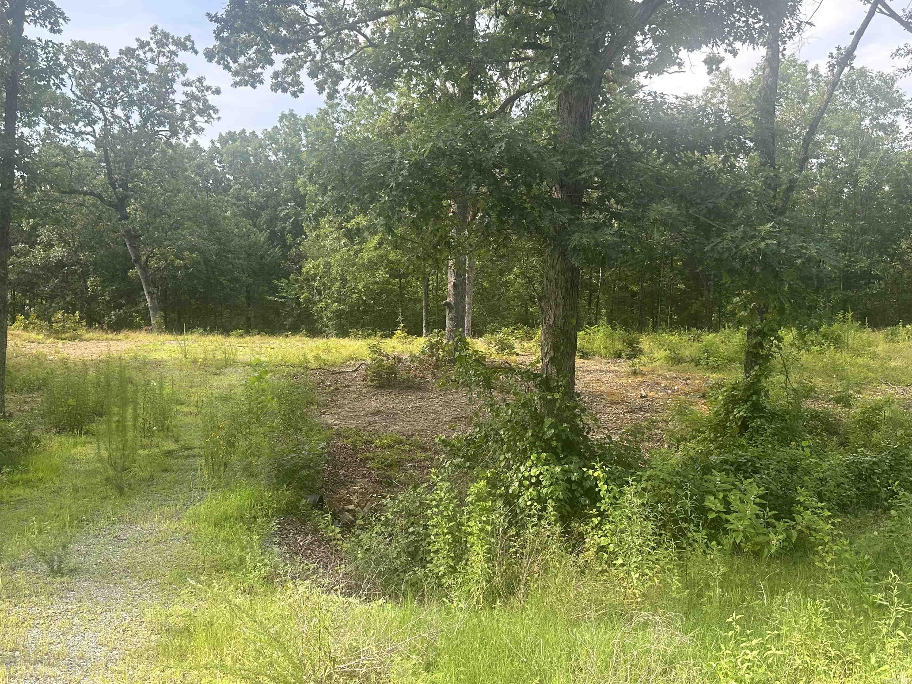 Lot 99 Vernon Court