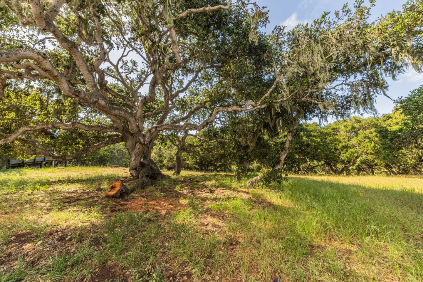 14190 Reservation Road