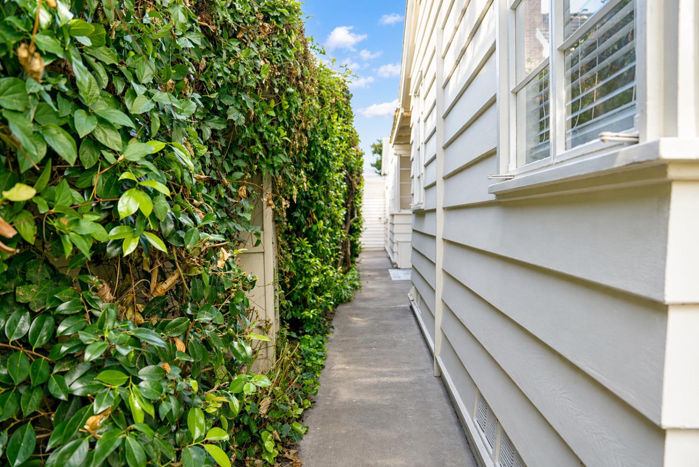 239 Oak Street