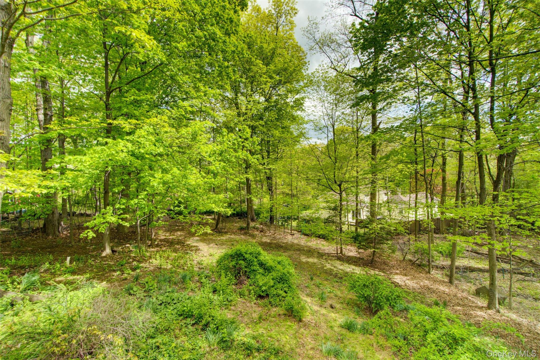 98 Mount Airy Road S