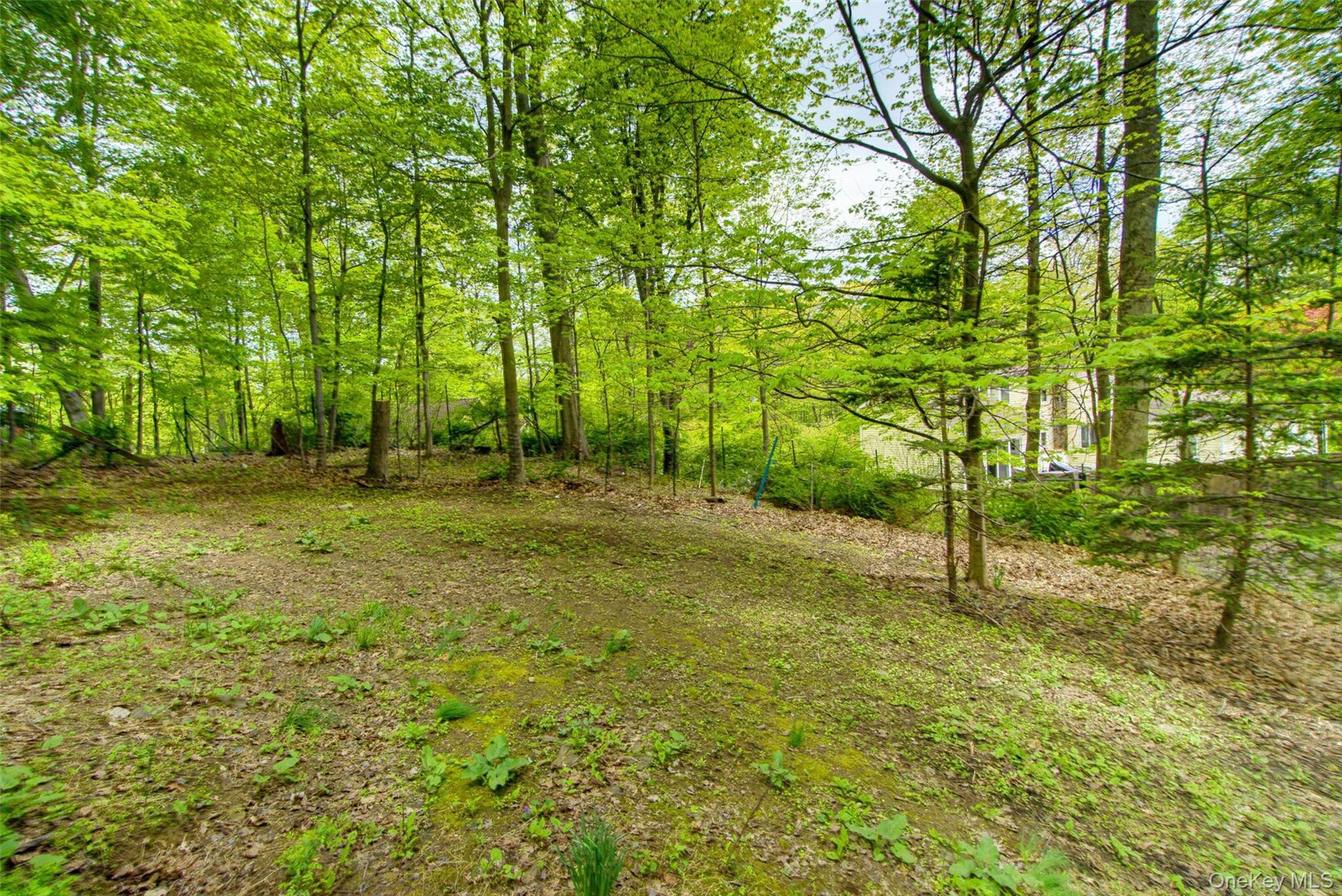 98 Mount Airy Road S