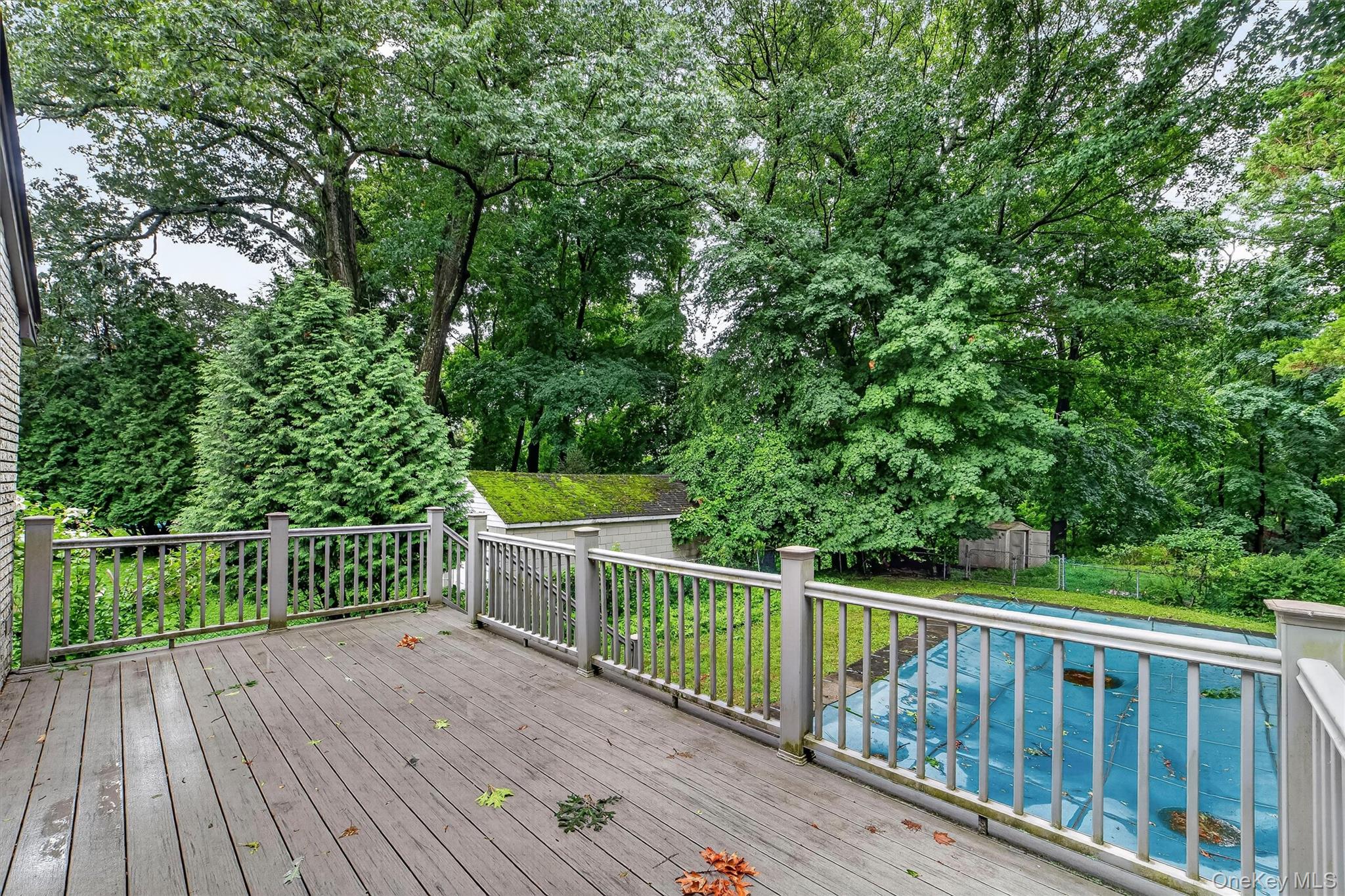 31 Elmore Avenue
