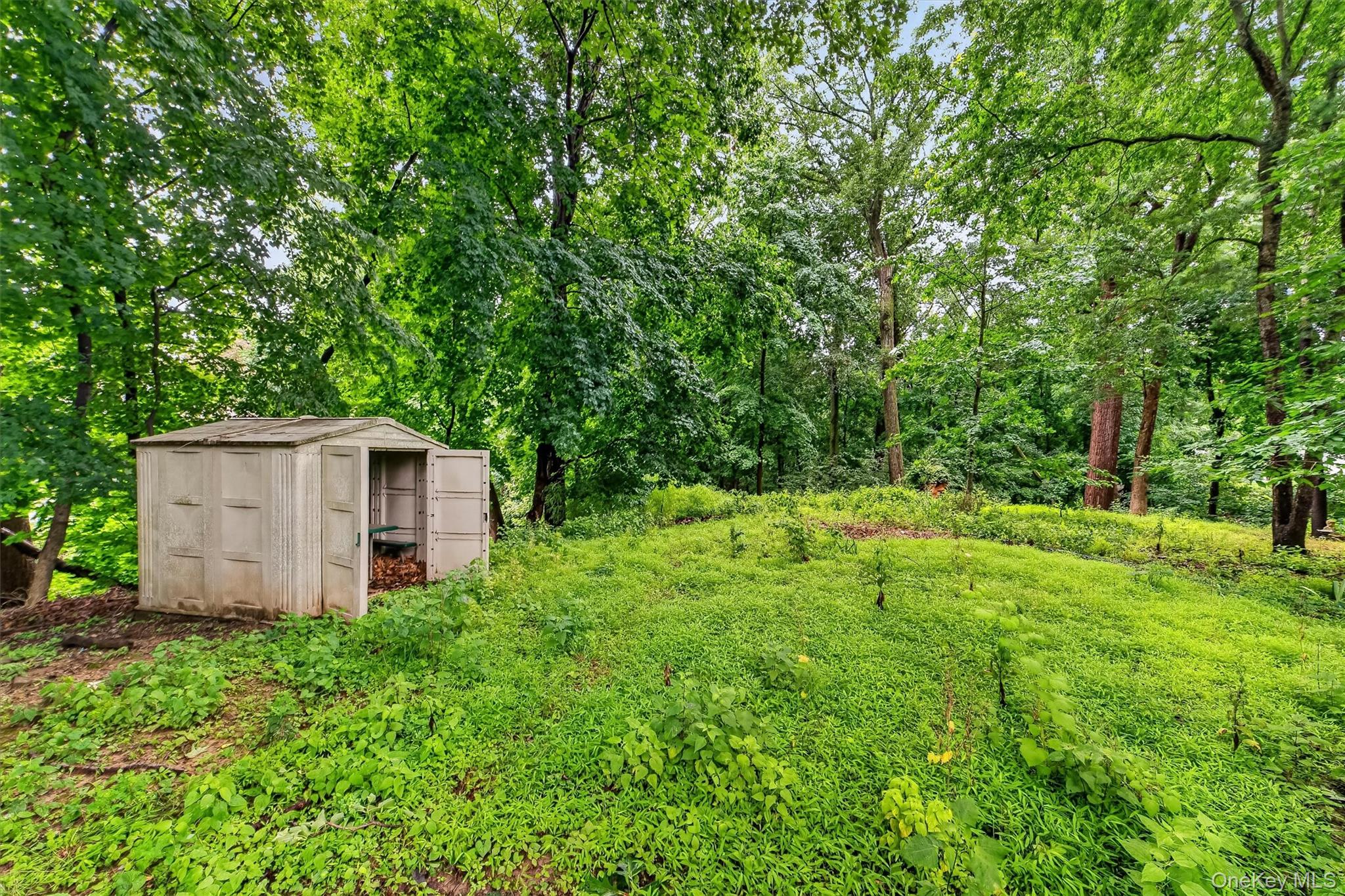31 Elmore Avenue
