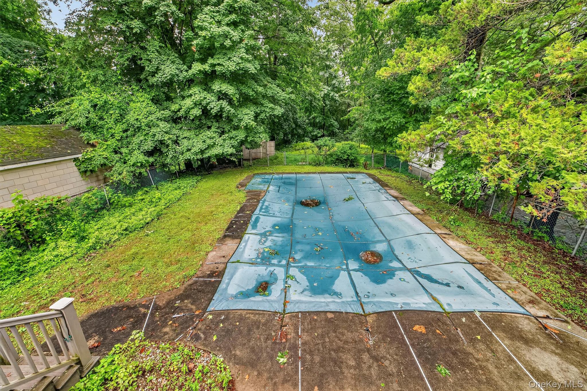31 Elmore Avenue