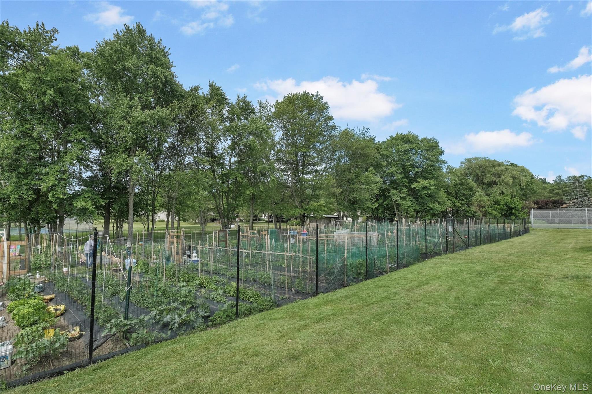 156 Carriage Court Unit: G