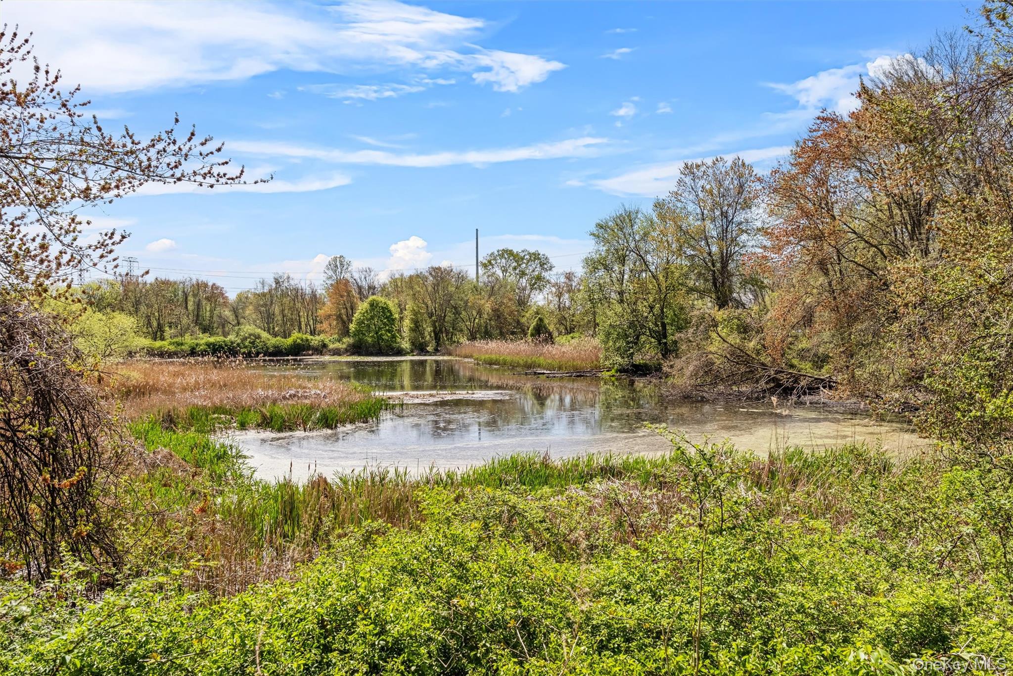 156 Carriage Court Unit: G