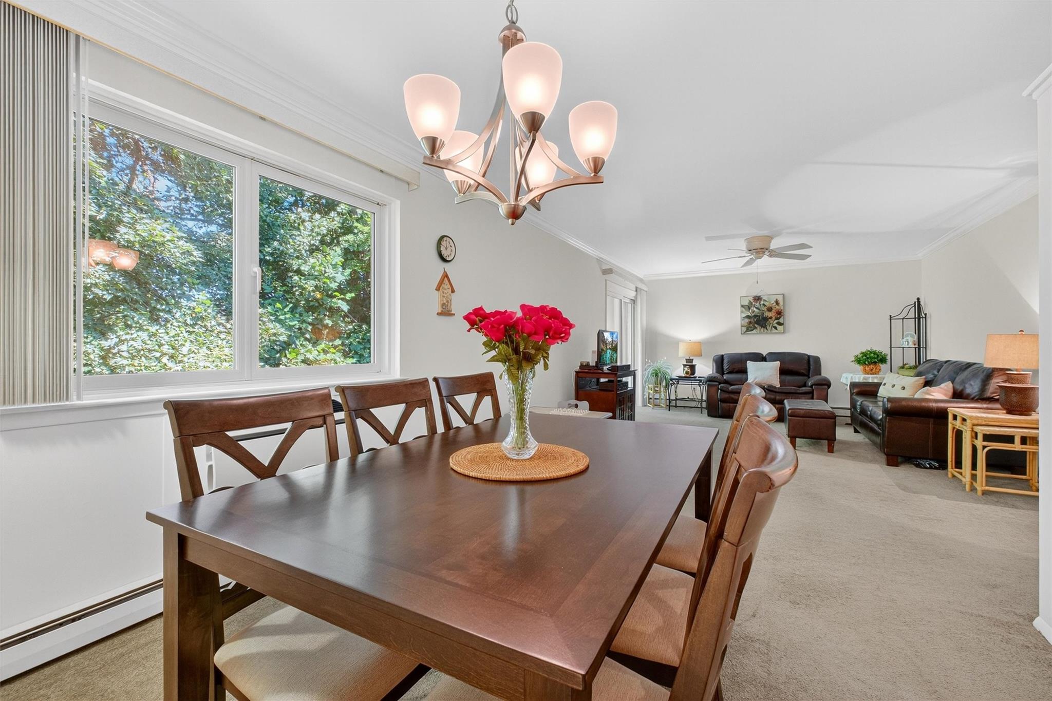 15 Scenic Drive