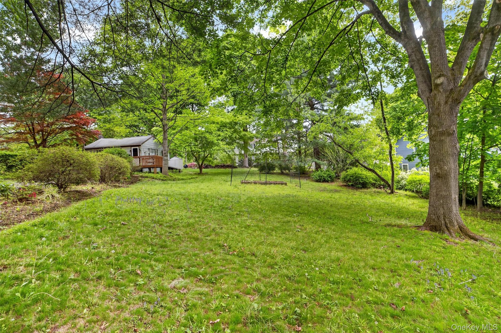 10 Mount Green Road