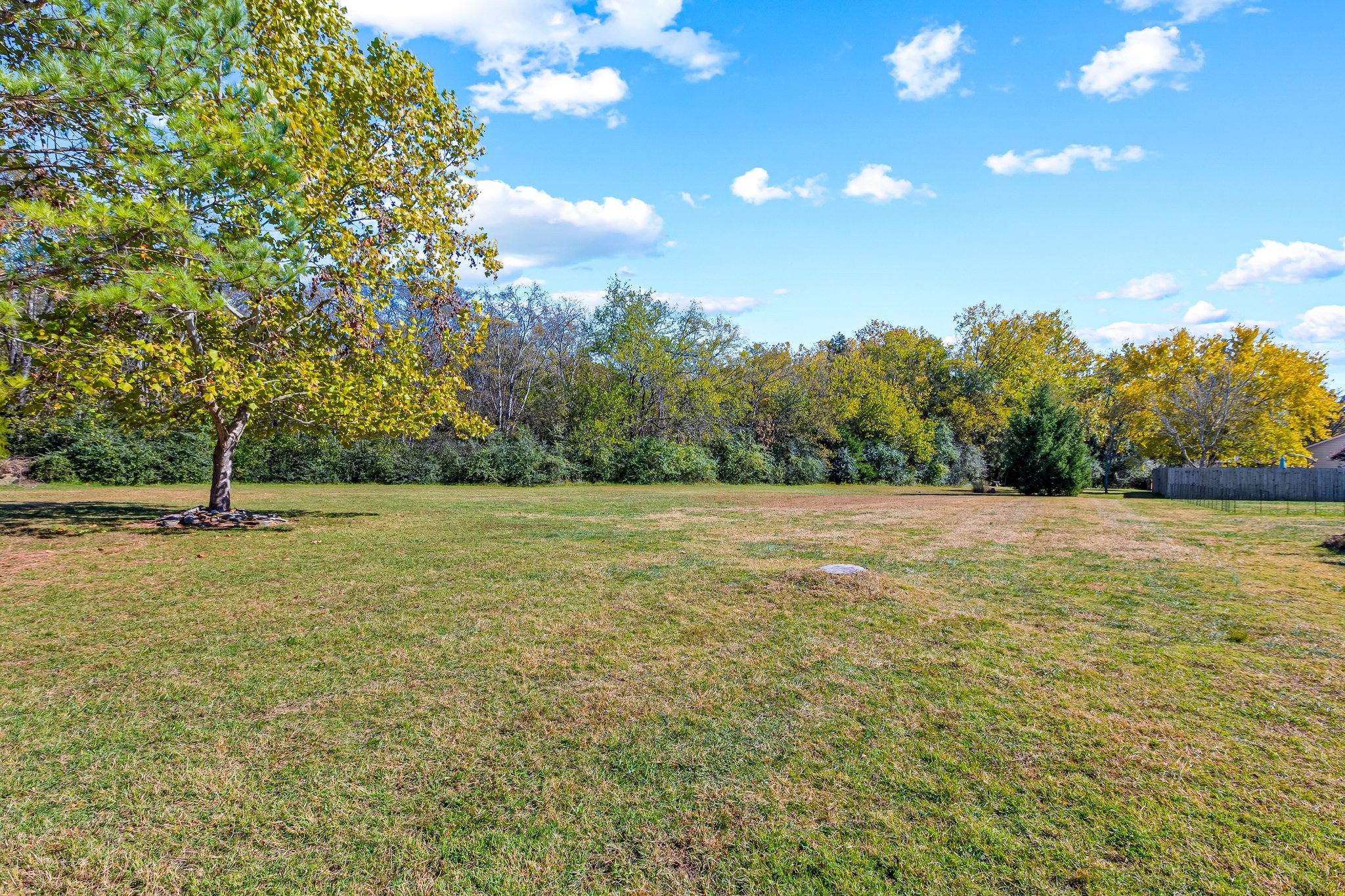 3263 Dark Woods Dr