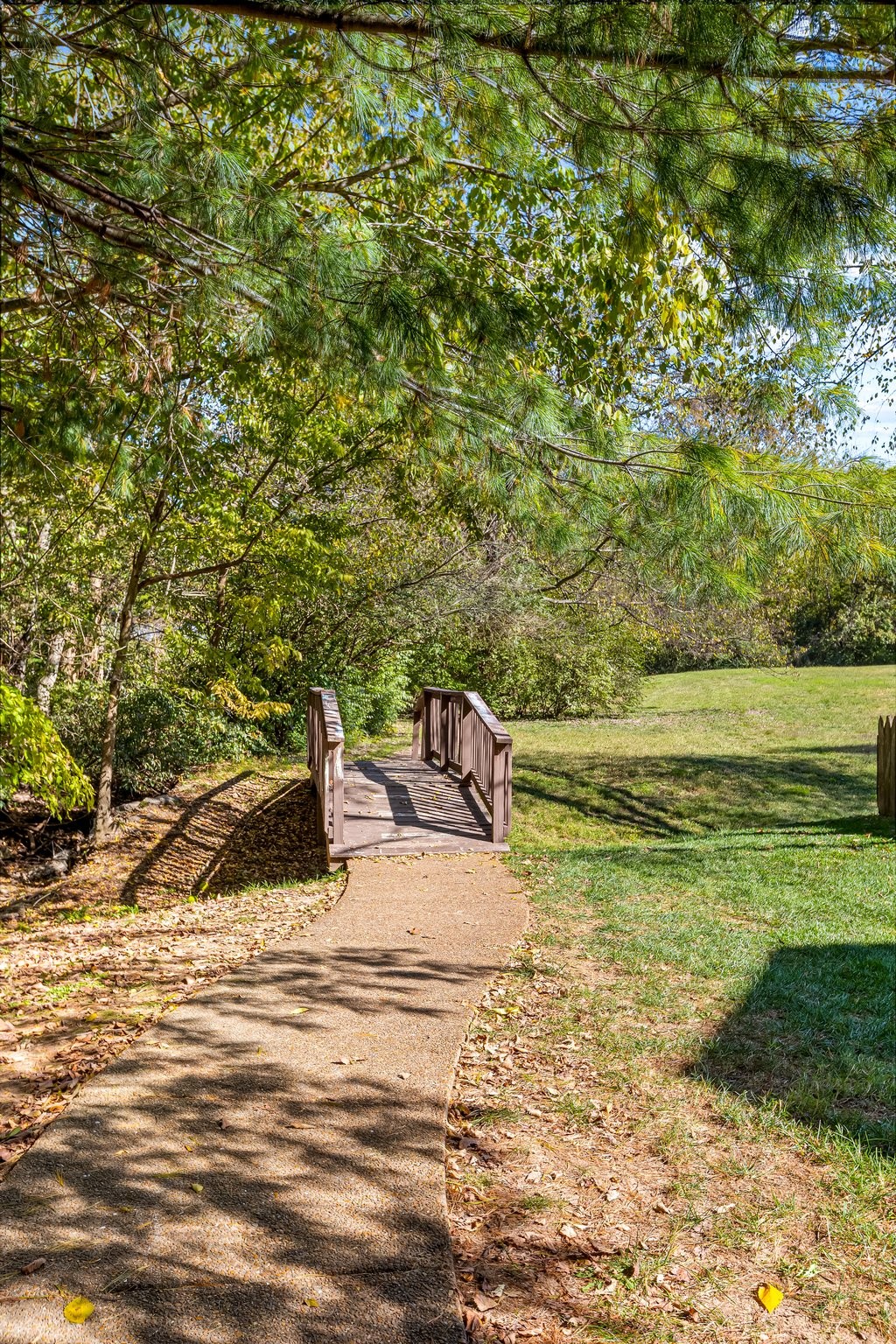 3263 Dark Woods Dr