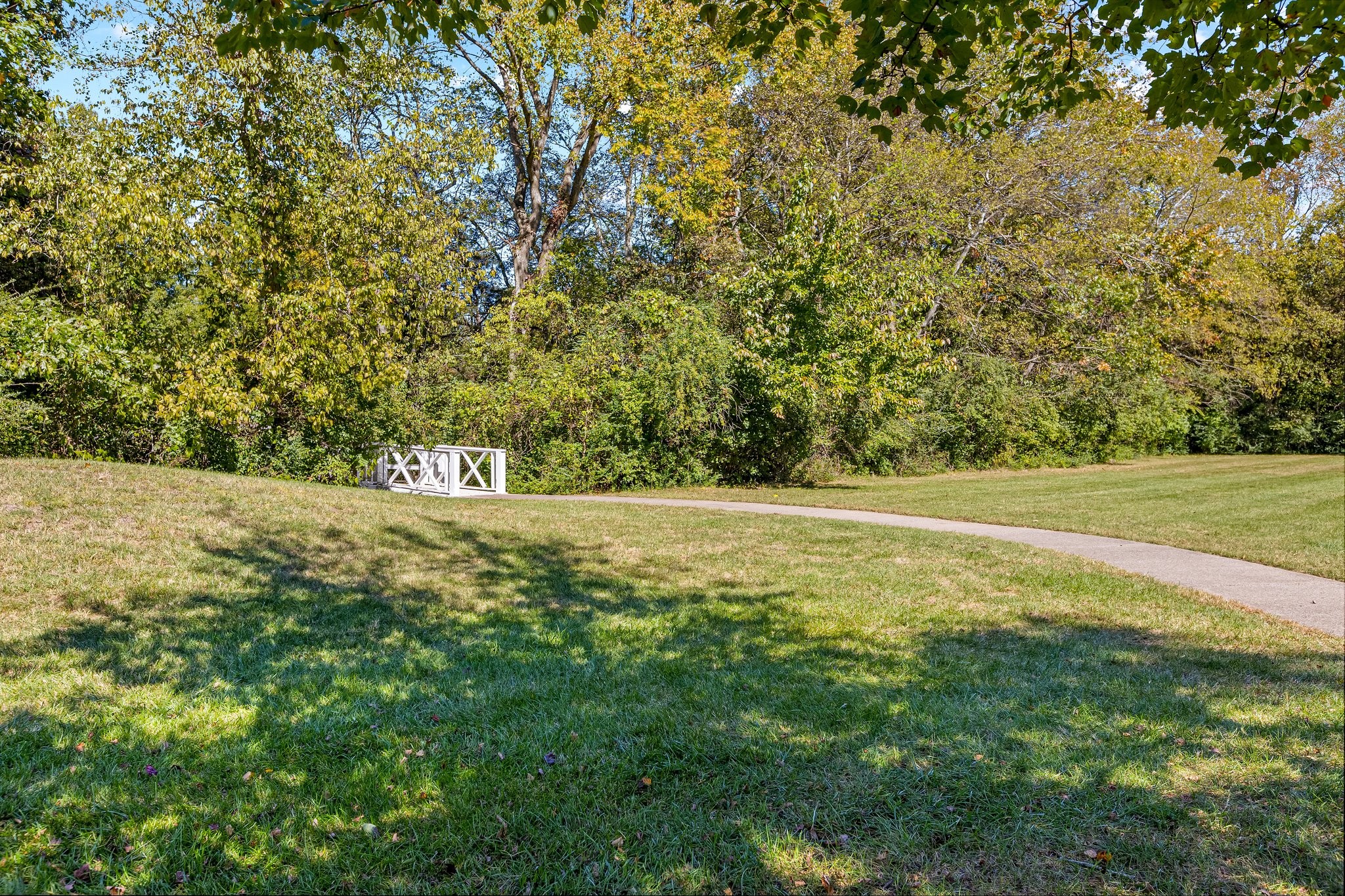 3263 Dark Woods Dr