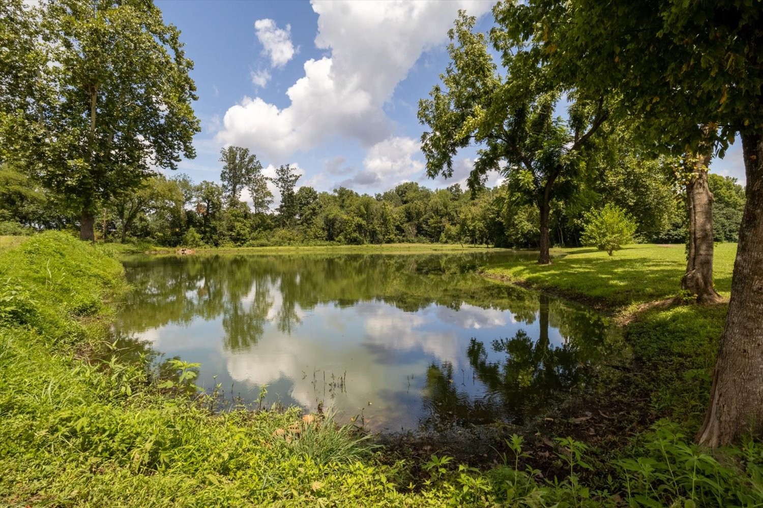 839 Ewell Farm Dr
