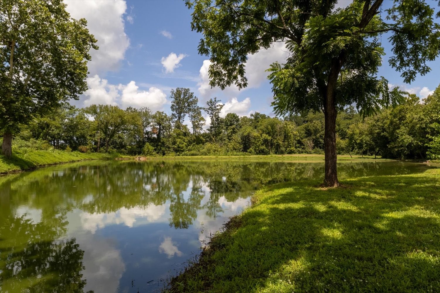 839 Ewell Farm Dr