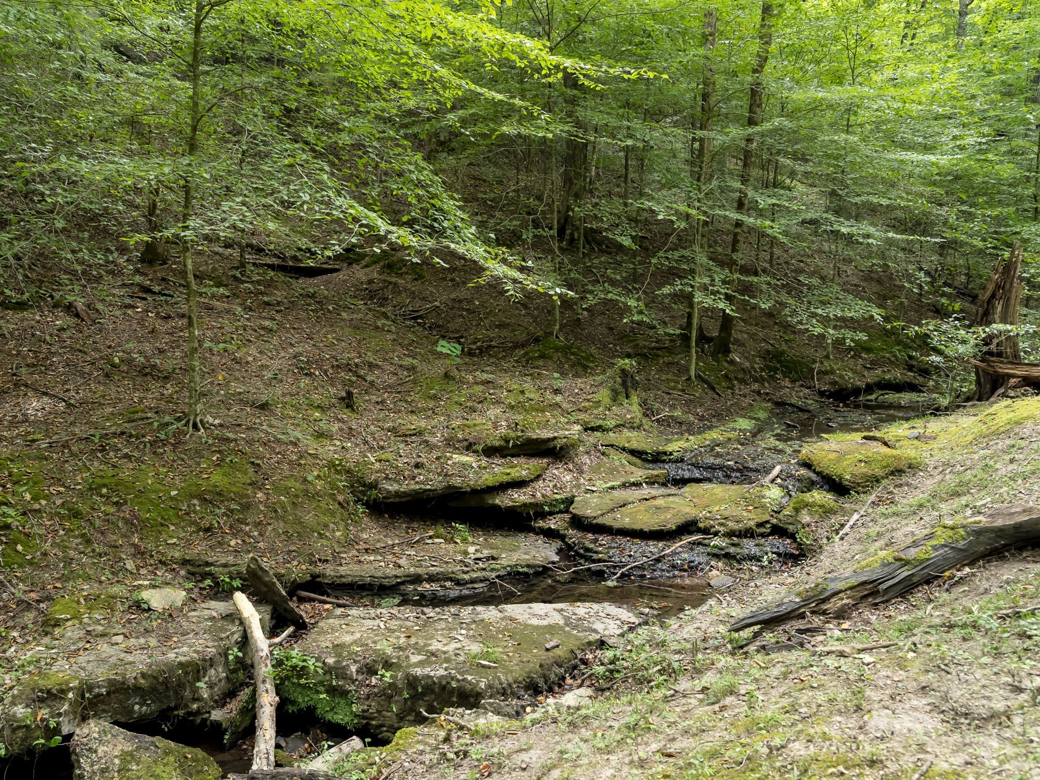 6011 Garrison Springs Rd