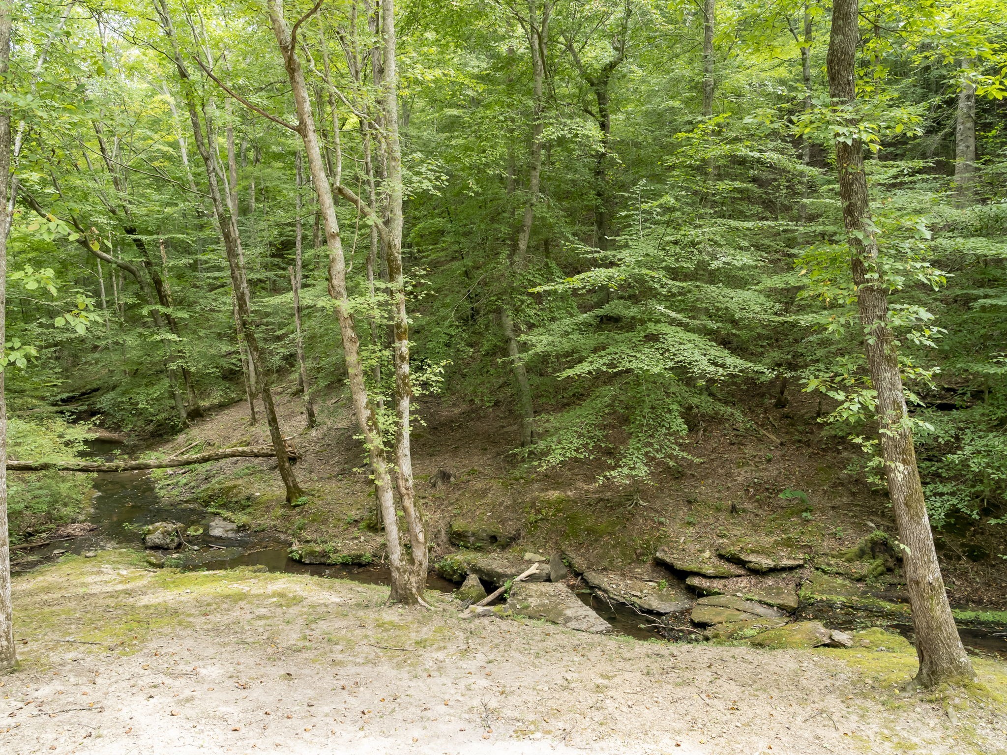 6011 Garrison Springs Rd